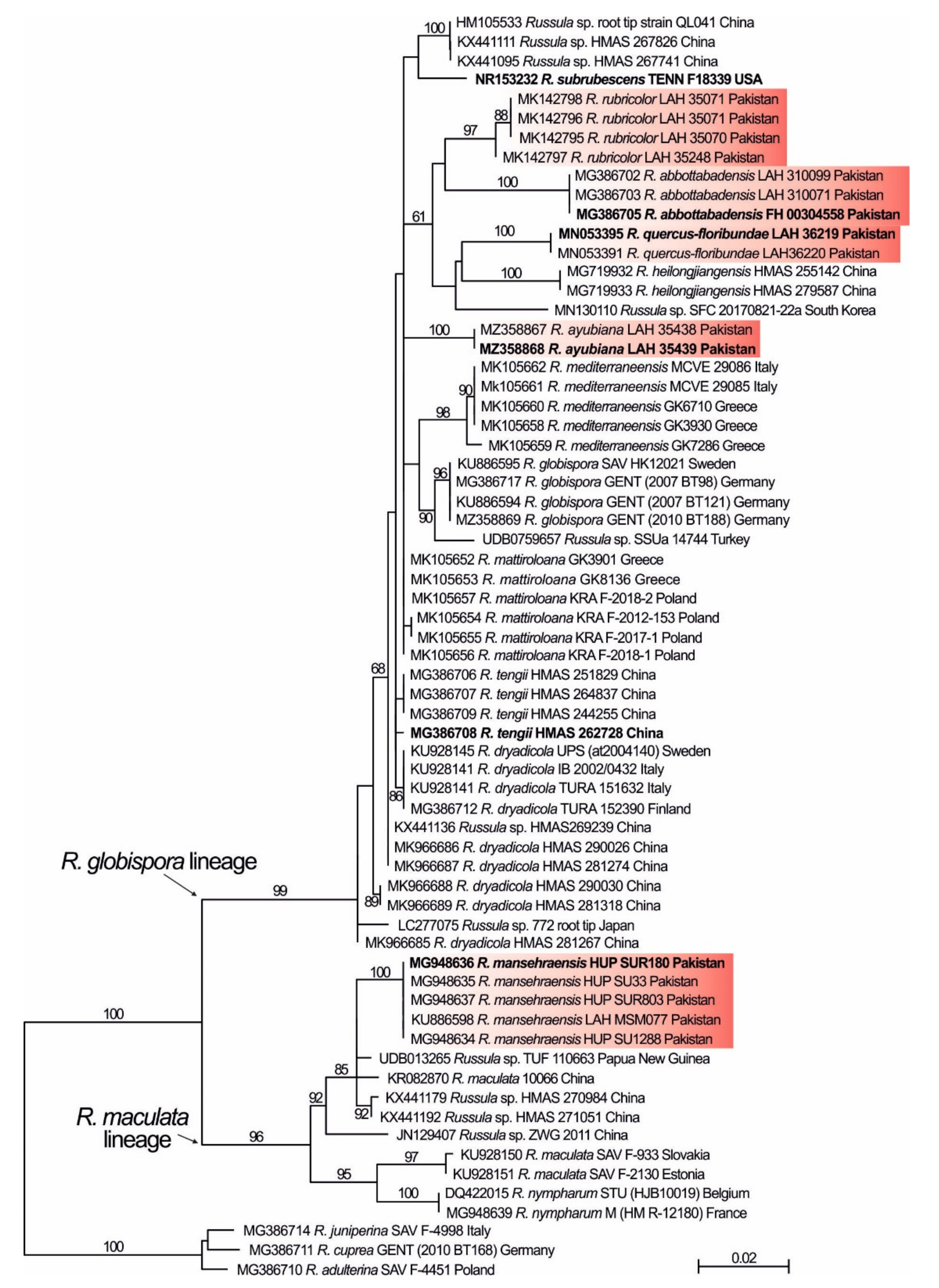 Life 11 00662 g001 Life 11 00662 g001