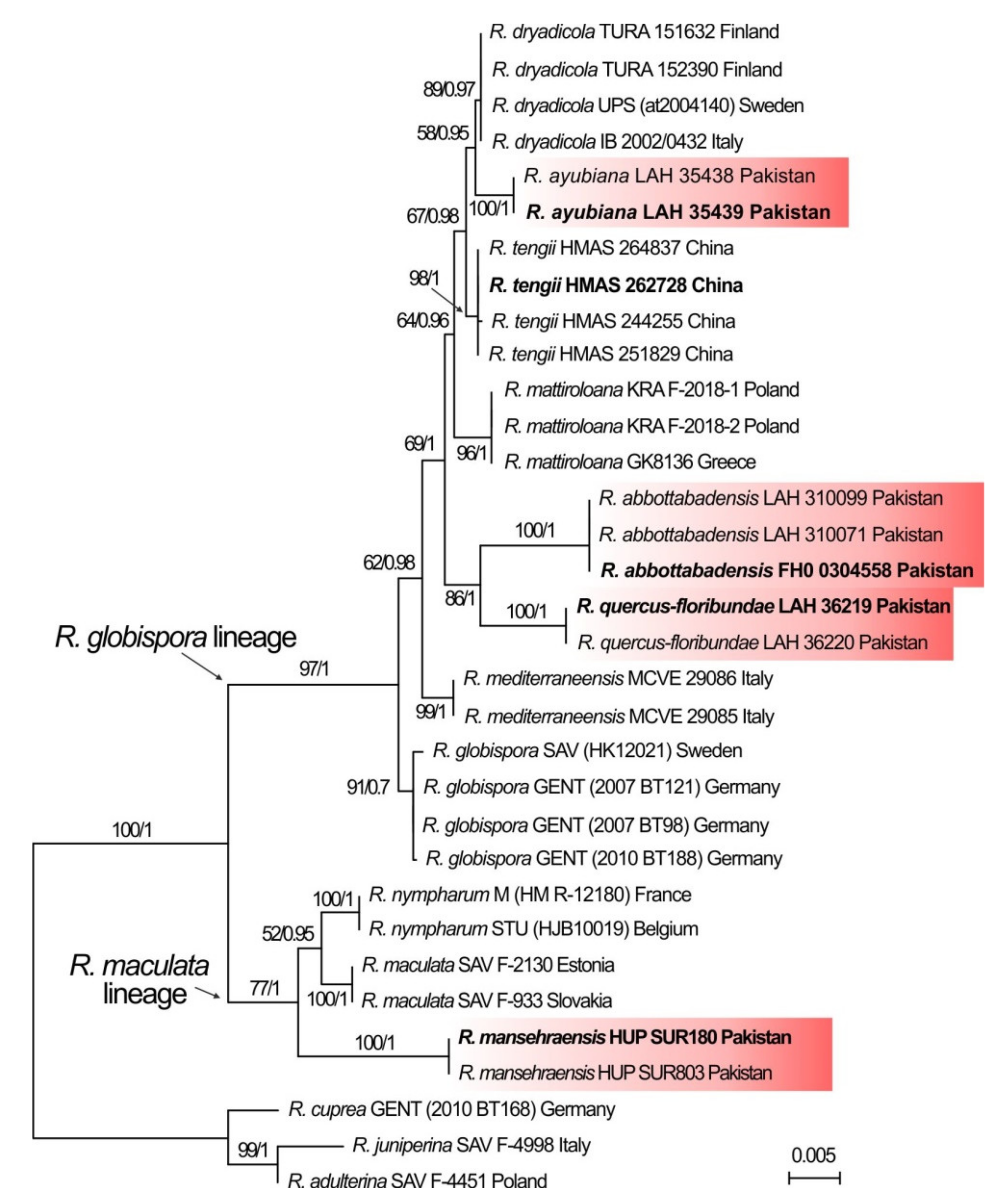 Life 11 00662 g002 Life 11 00662 g002