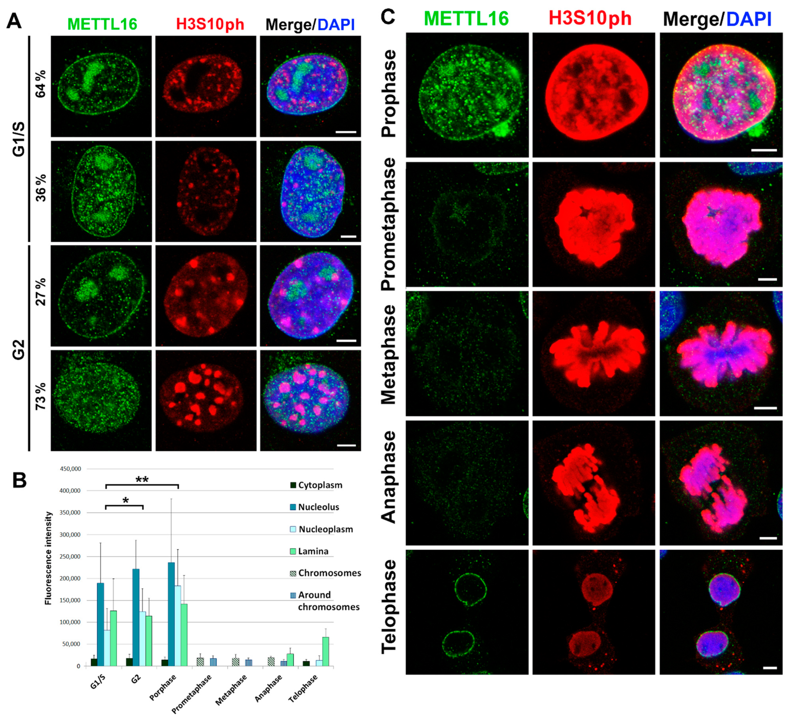 Life 11 00669 g002 550