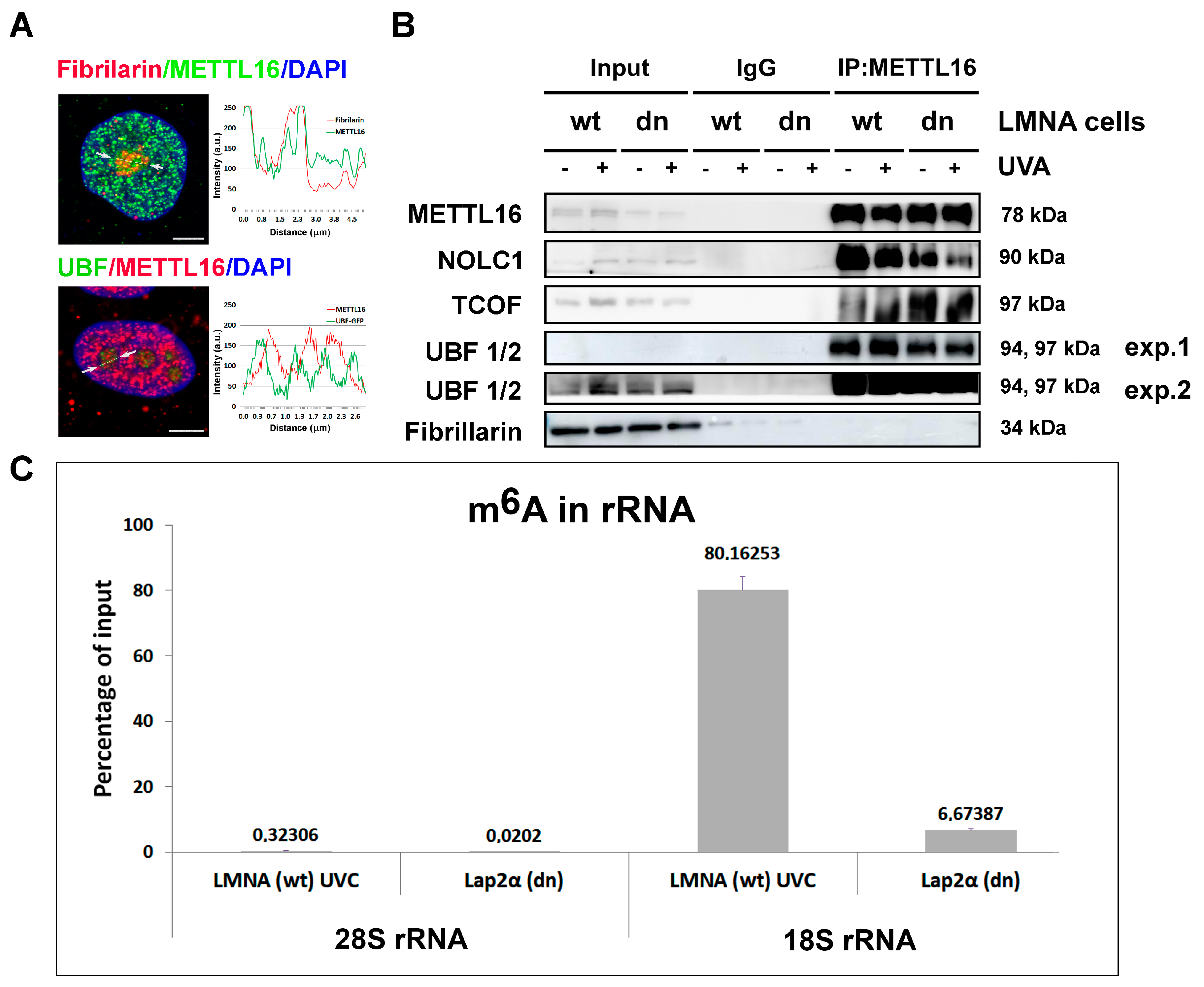 Life 11 00669 g006 550