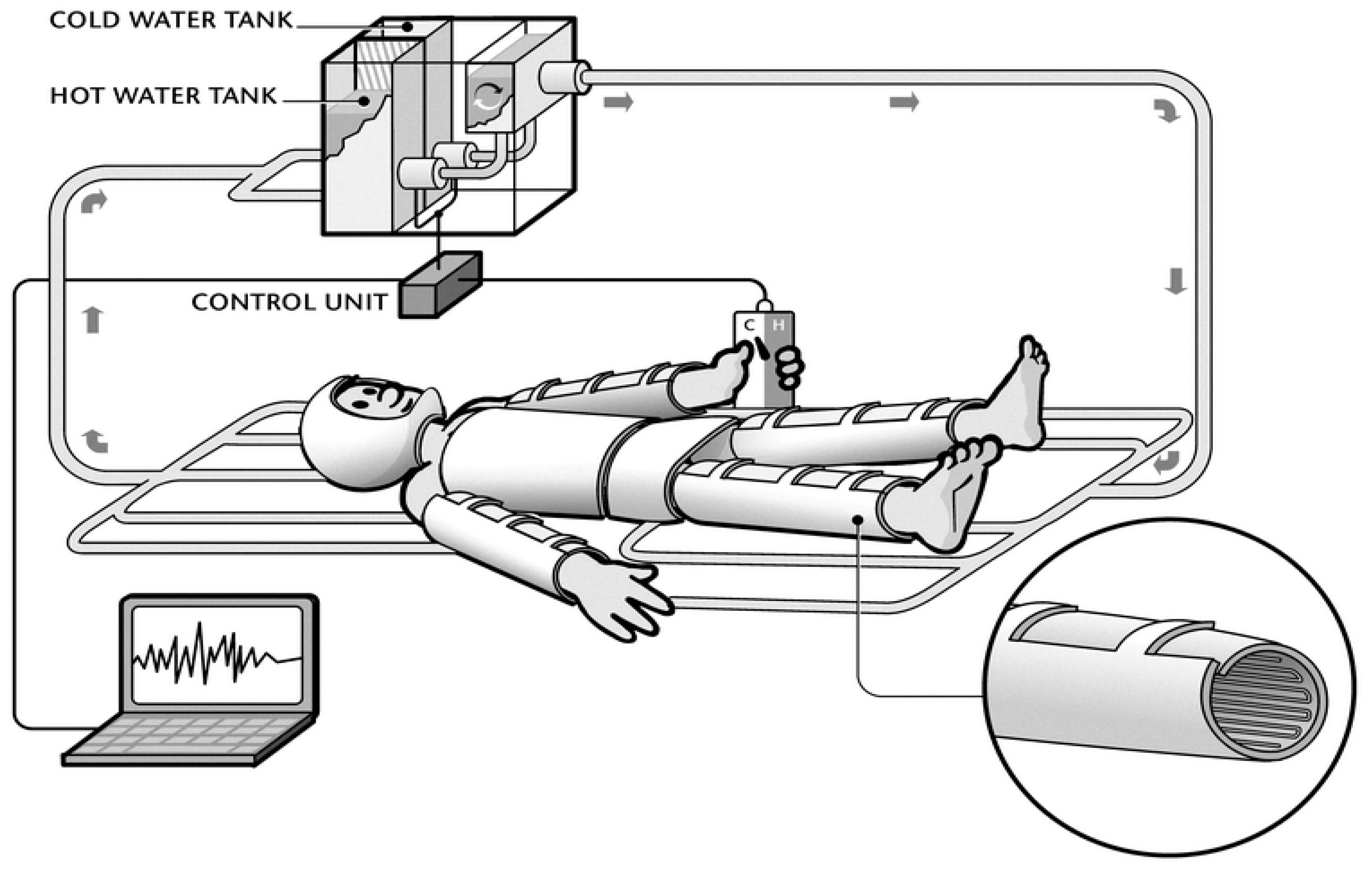 Life 11 00681 g001 550