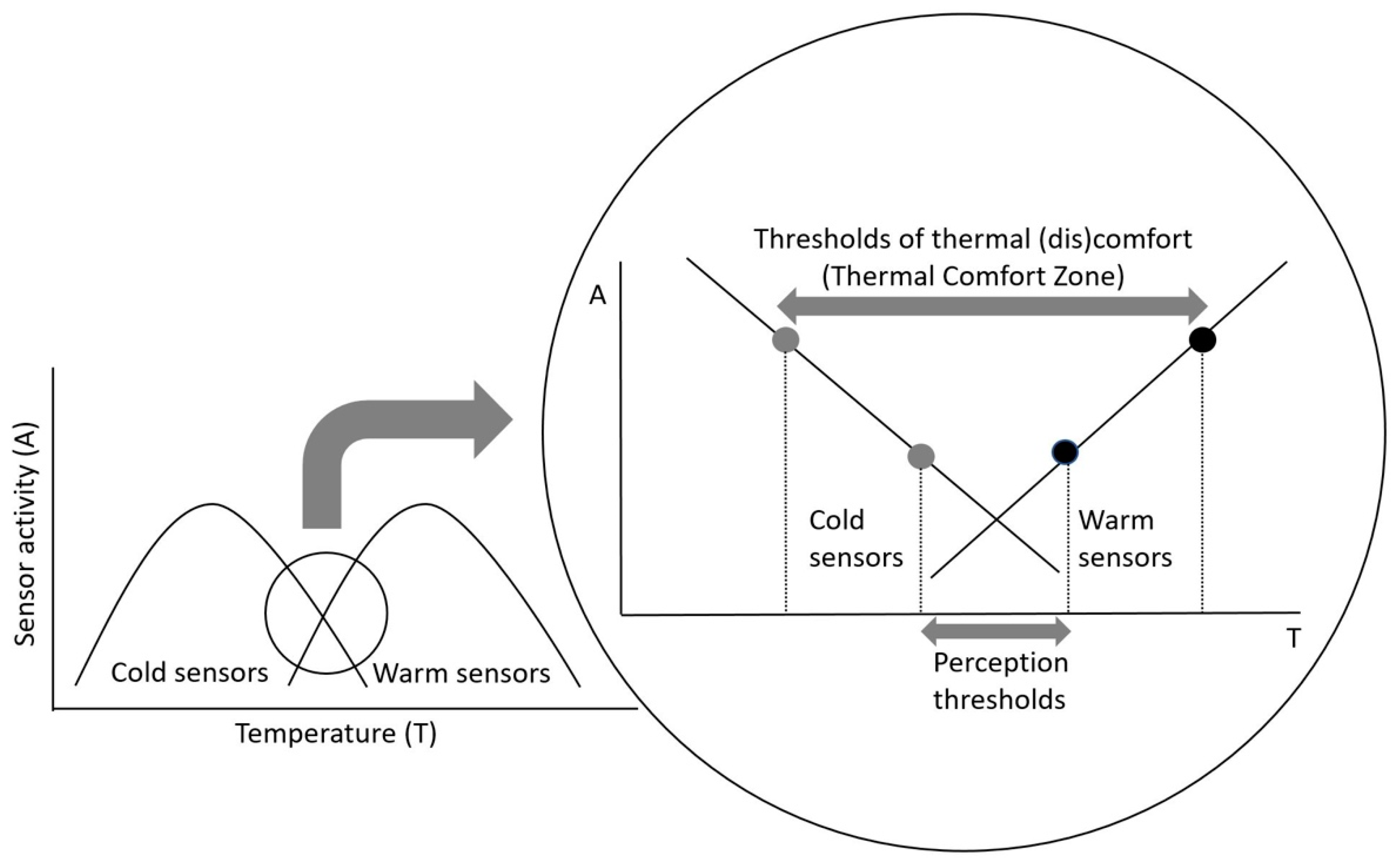 Life 11 00681 g005 550