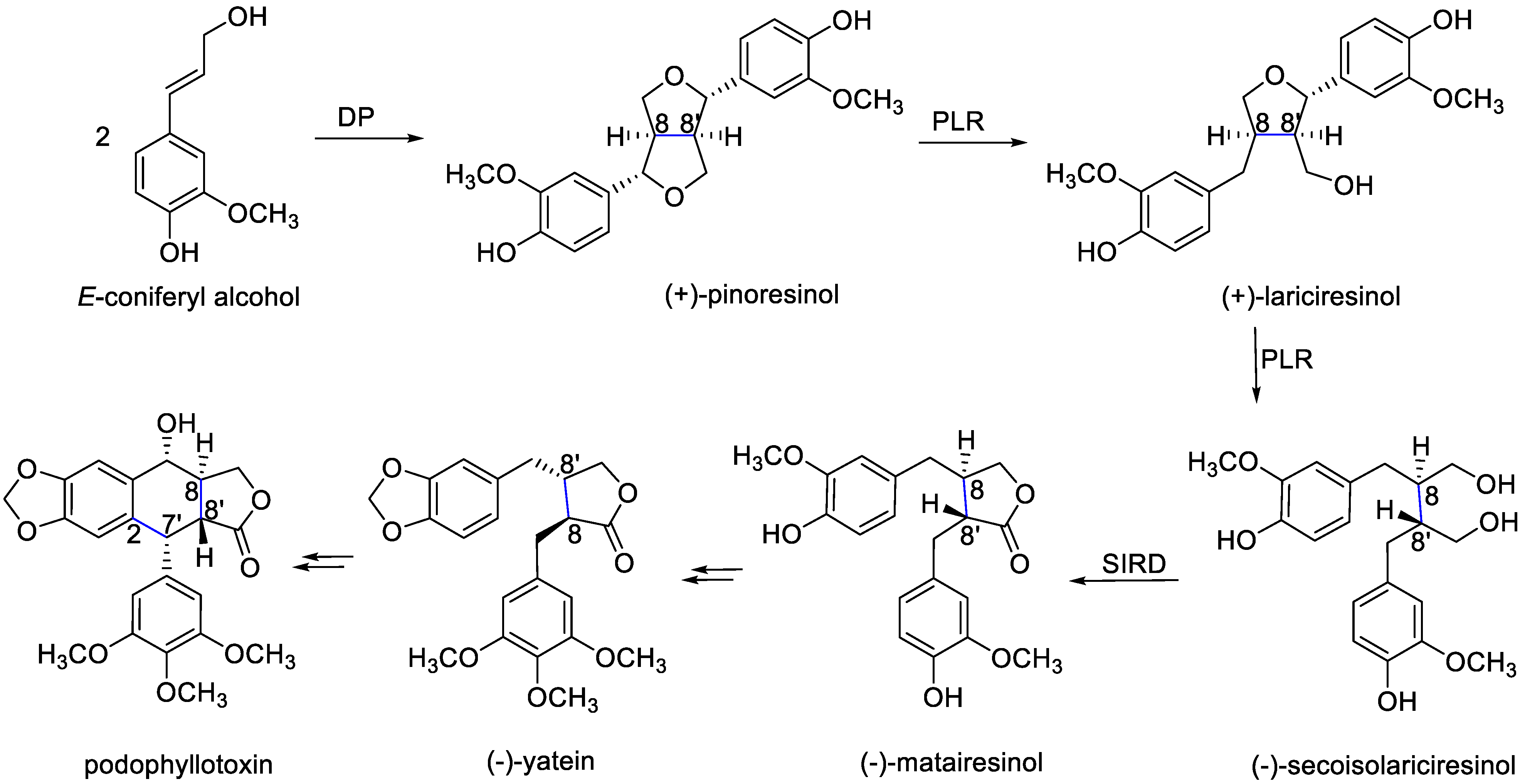 Life 11 00685 g003 550