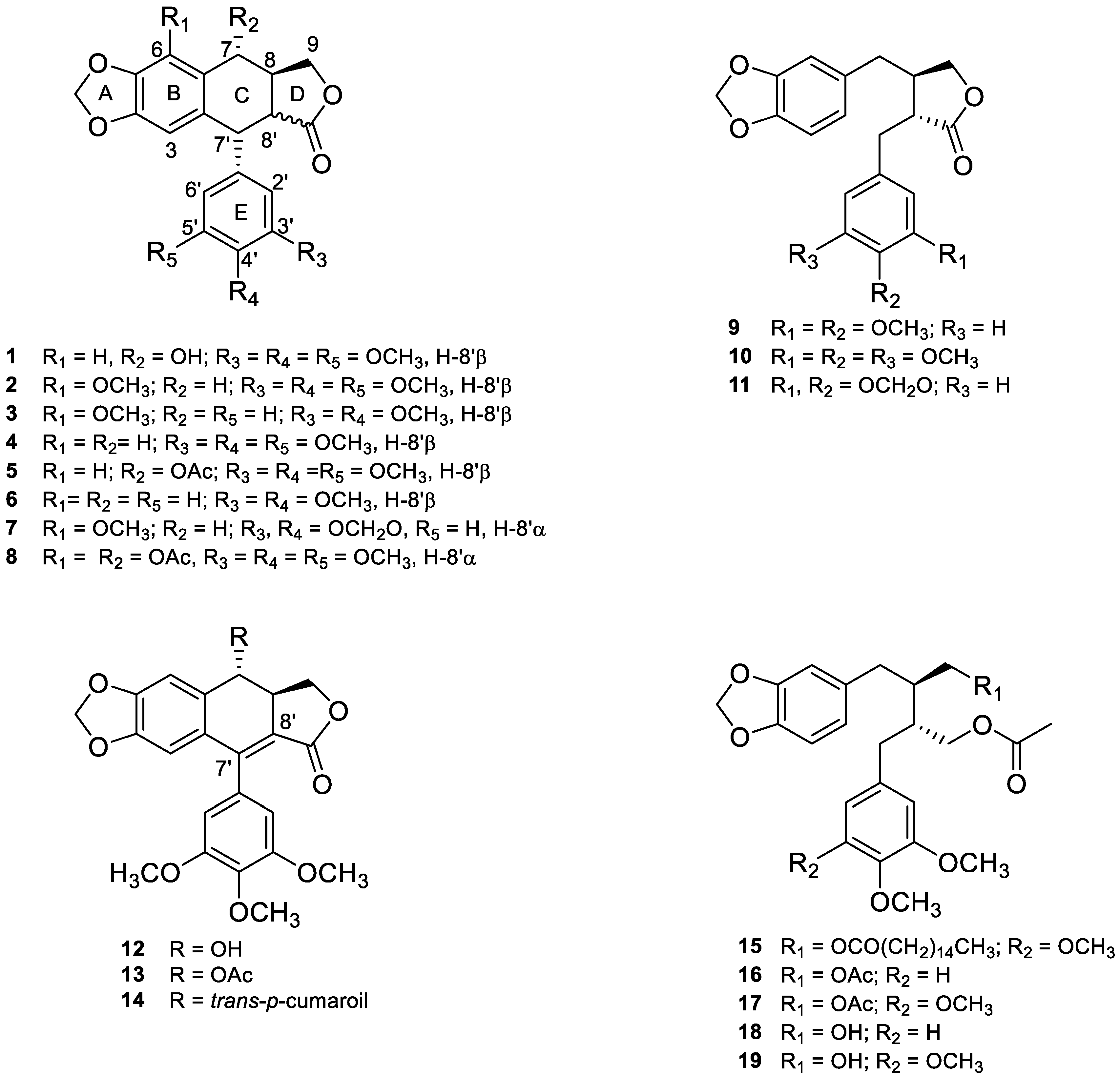 Life 11 00685 g004 550