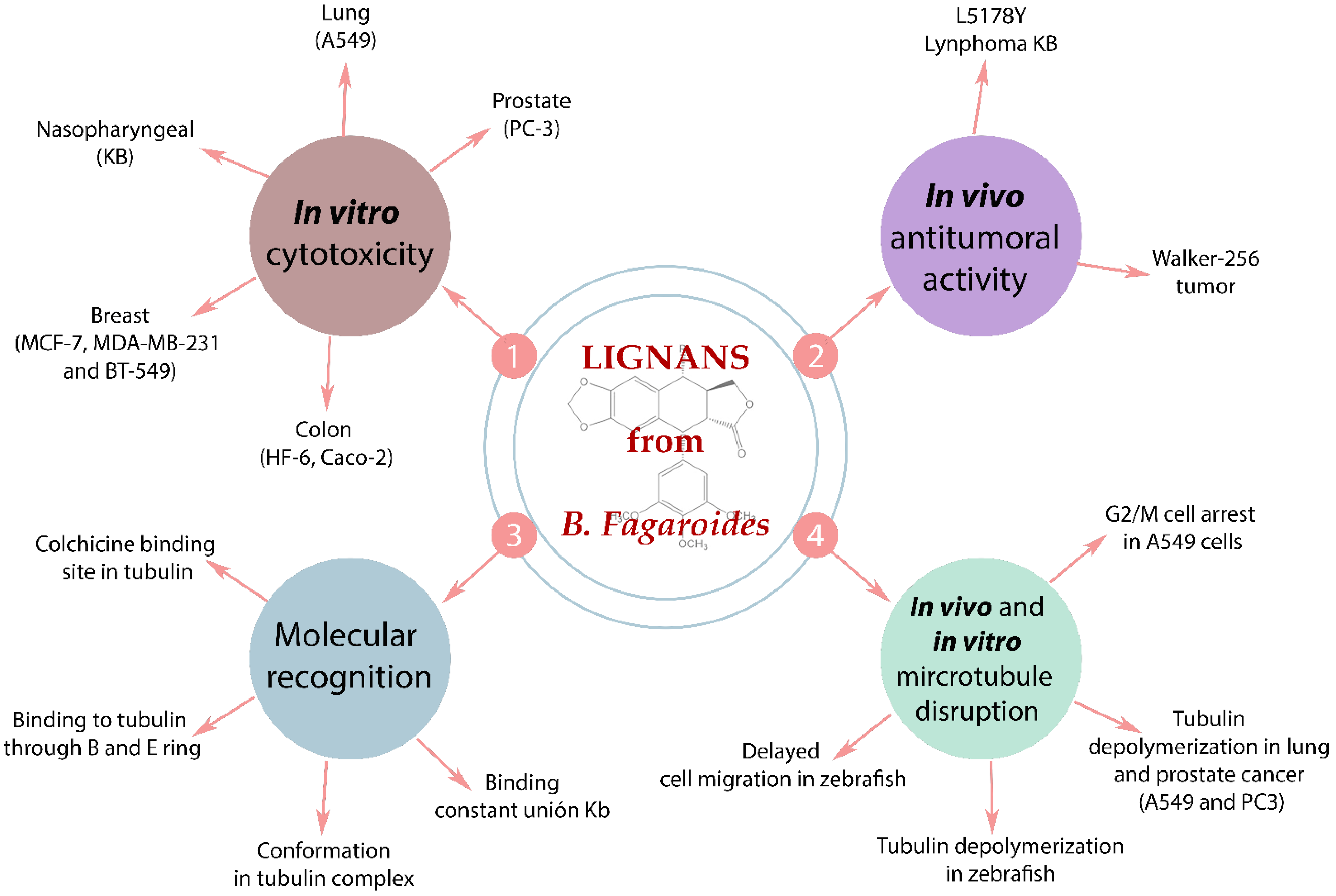 Life 11 00685 g005 550