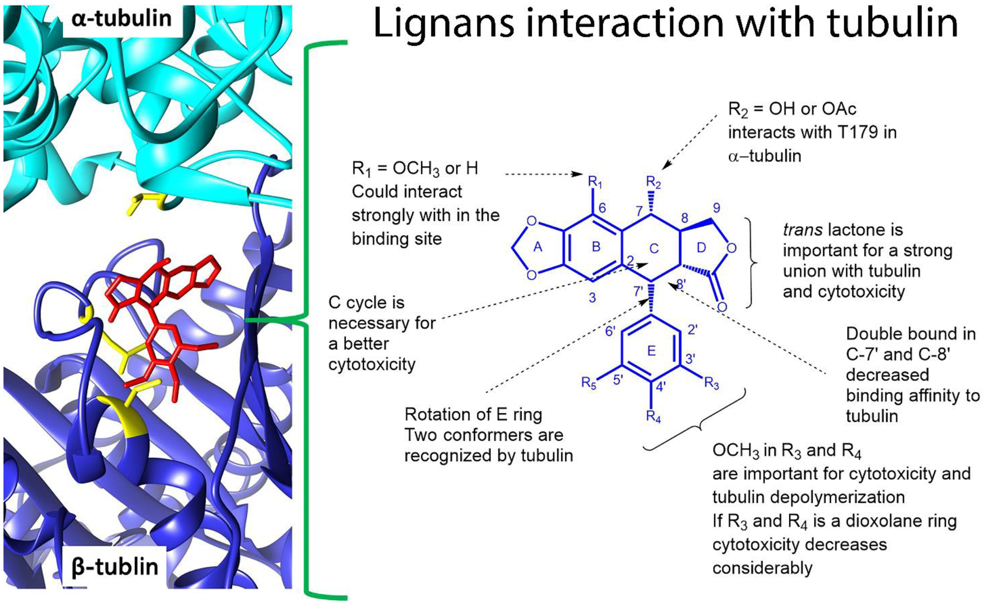 Life 11 00685 g006 550