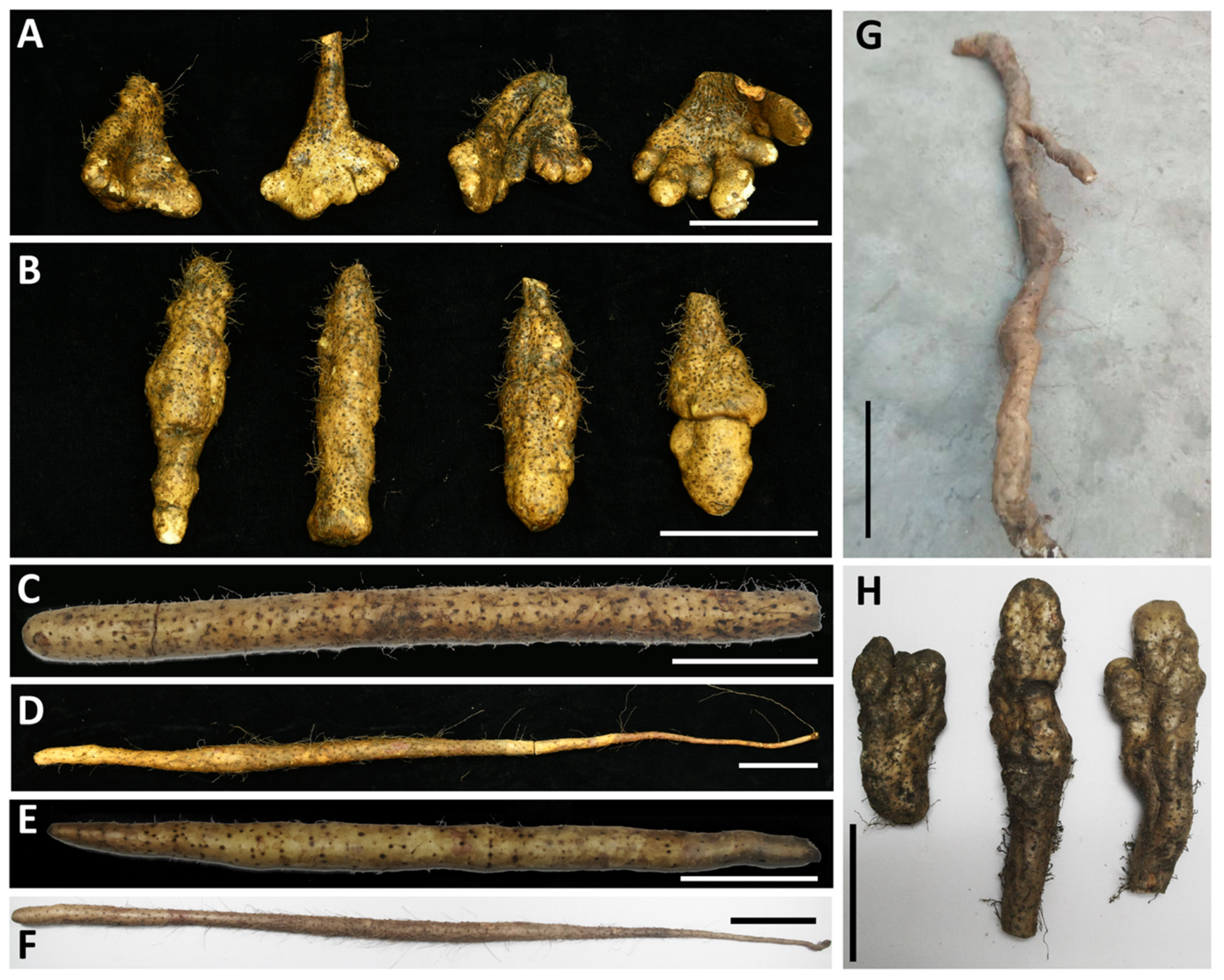 Life 11 00687 g001 550