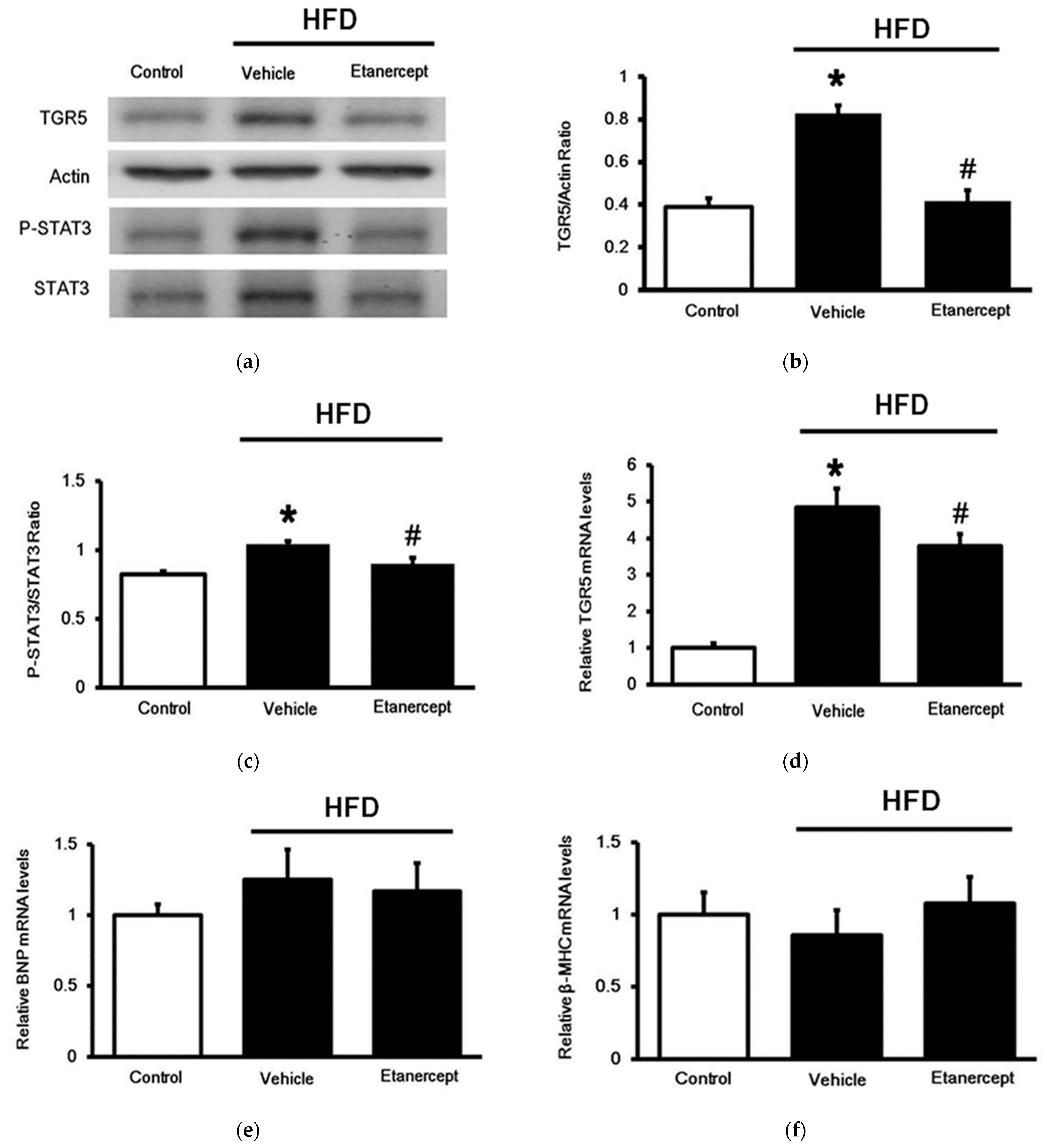 Life 11 00695 g003 550