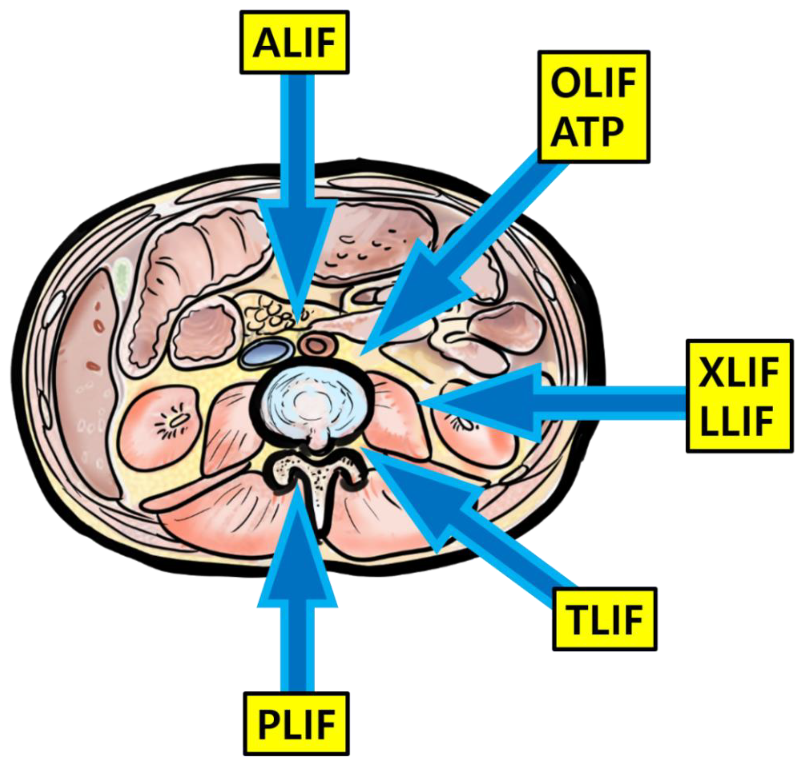 Life 11 00696 g005 550