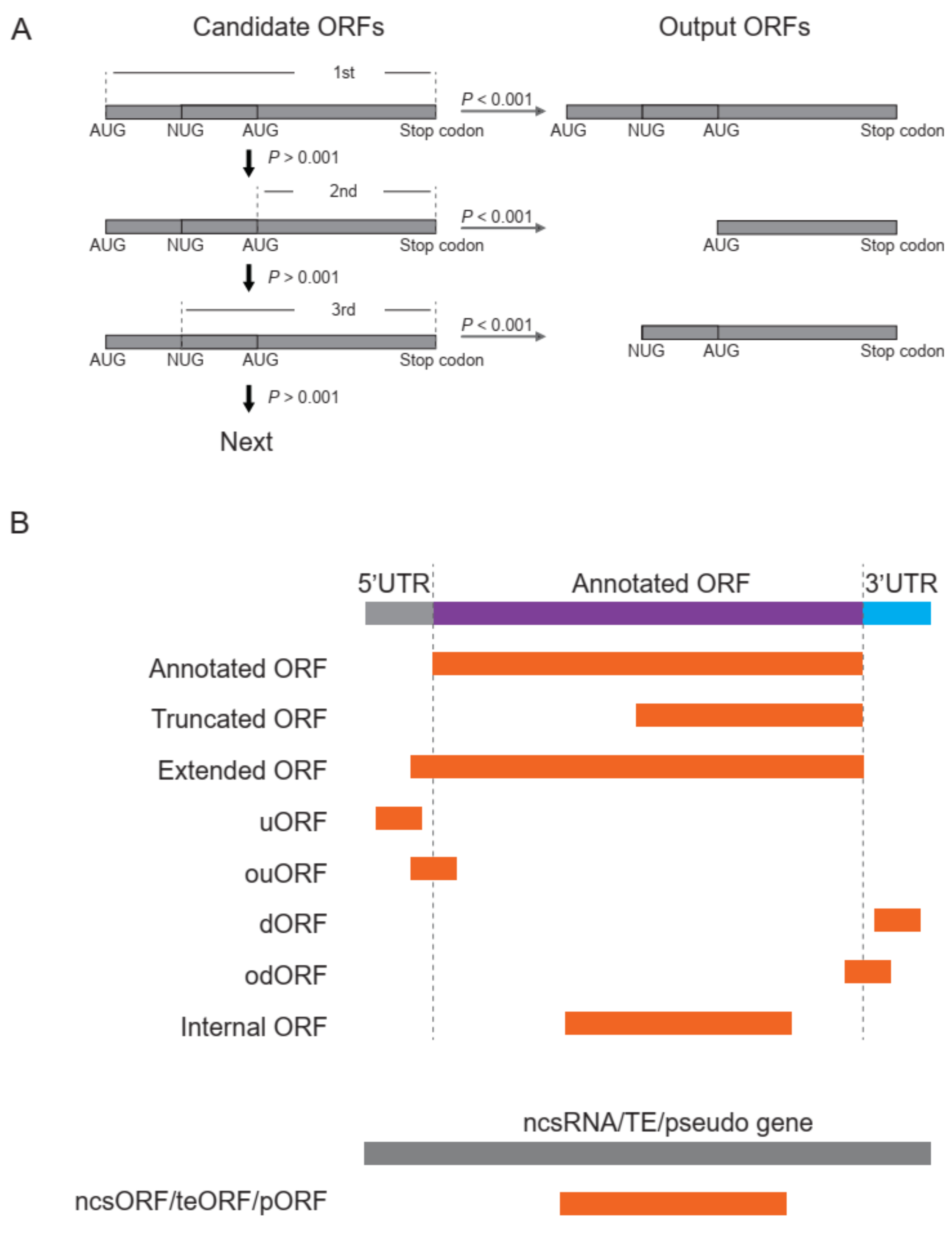 Life 11 00701 g003 550
