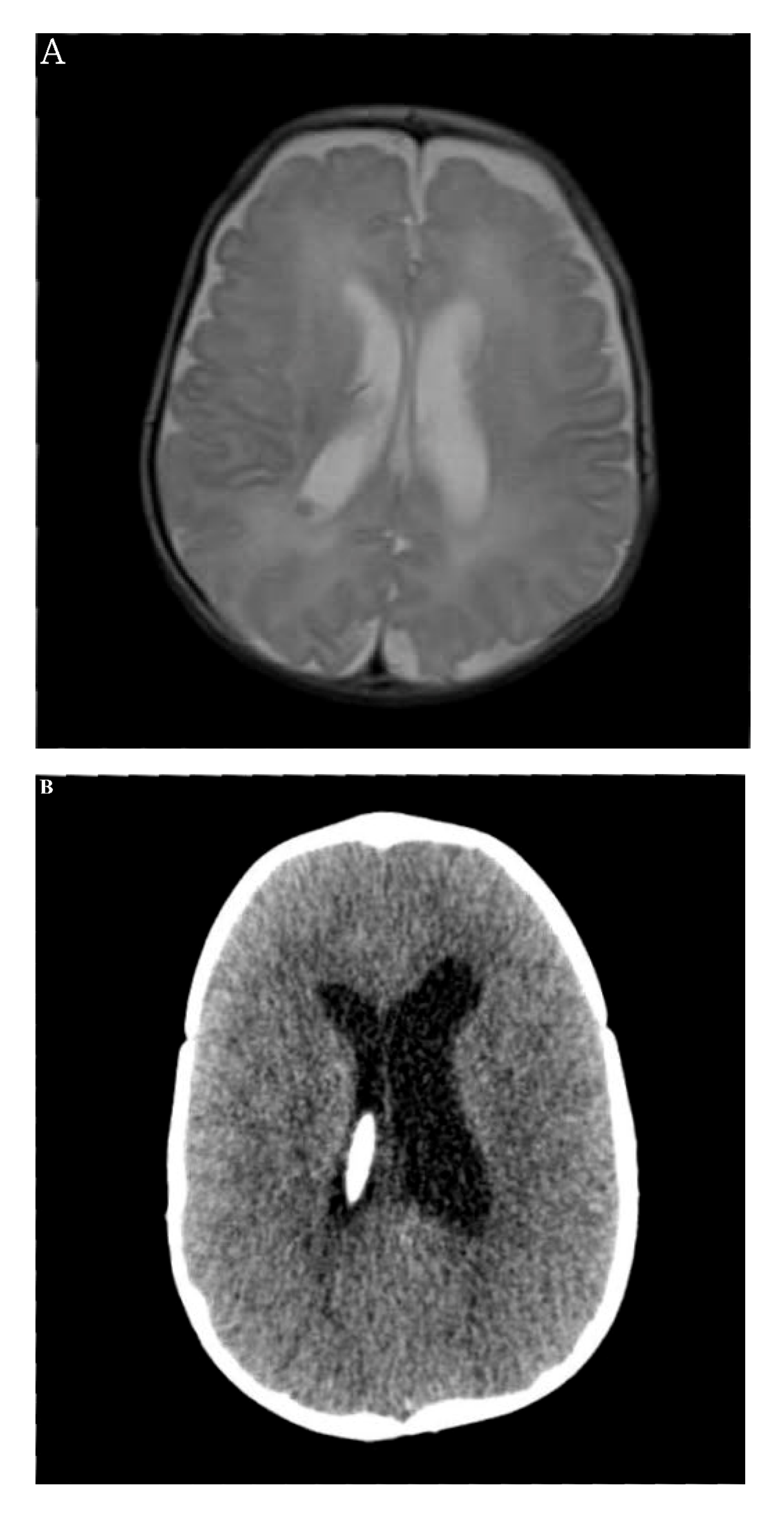 Life 11 00713 g001 Life 11 00713 g001