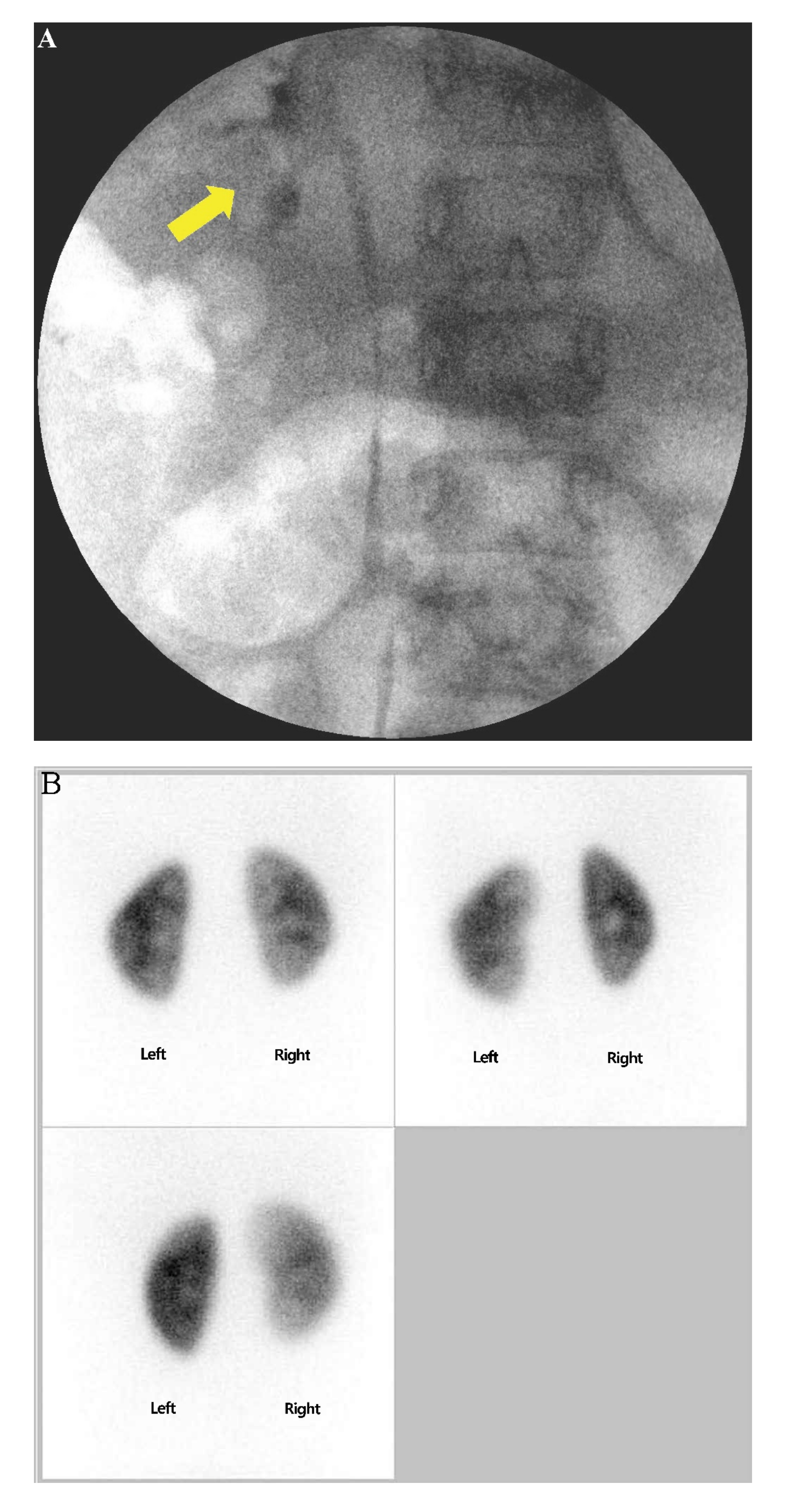 Life 11 00713 g002a Life 11 00713 g002a