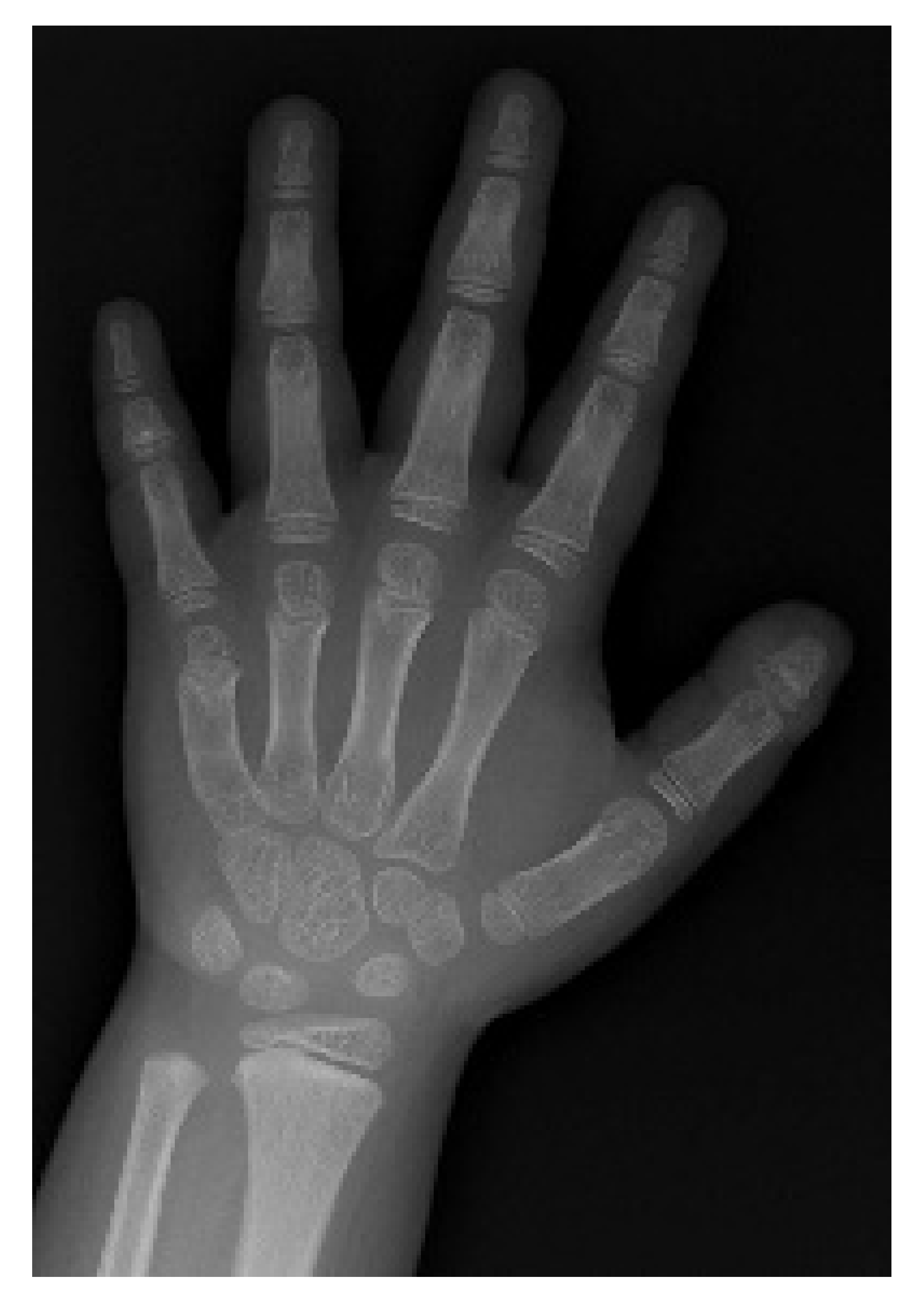 Life 11 00713 g003 Life 11 00713 g003