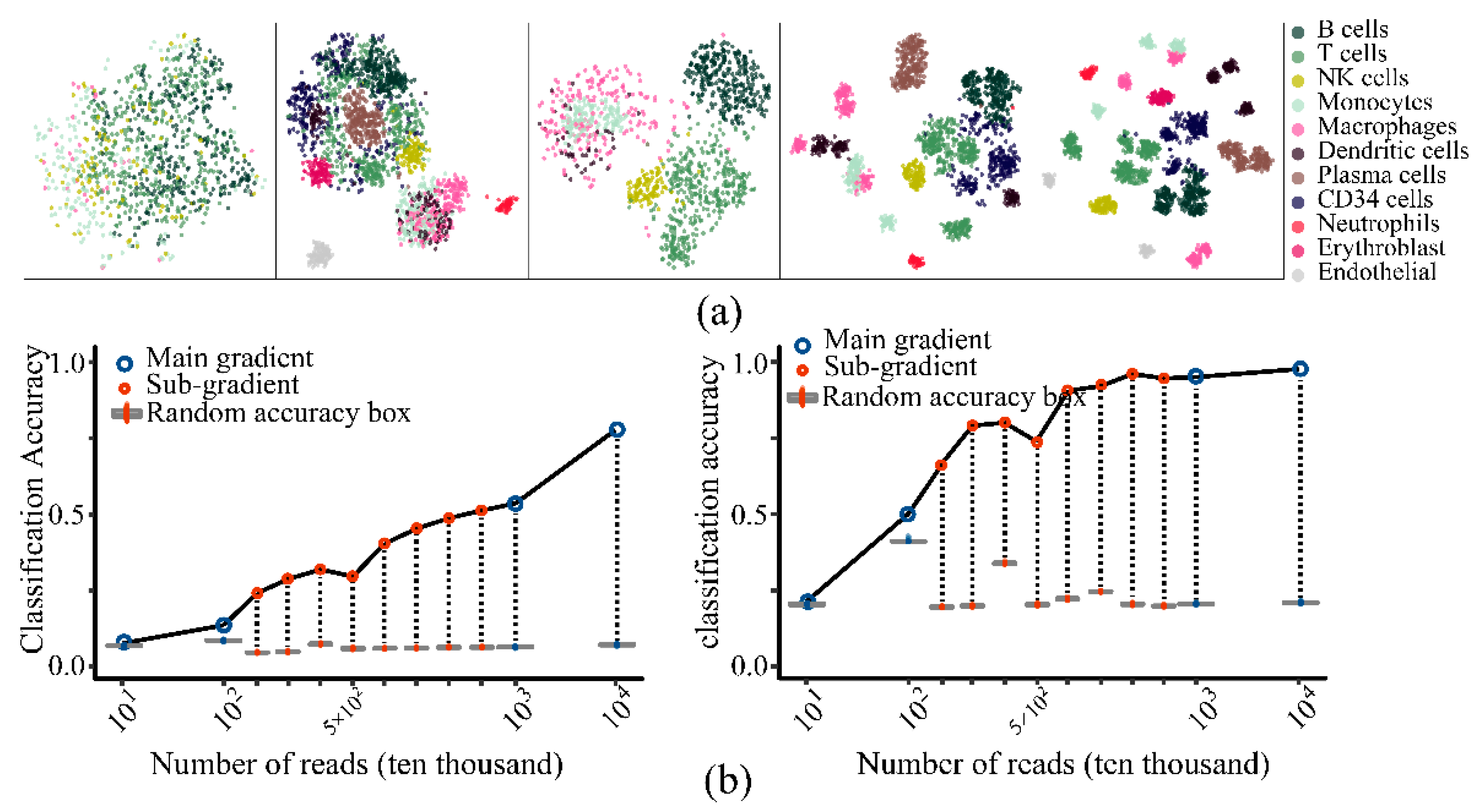 Life 11 00716 g004 550
