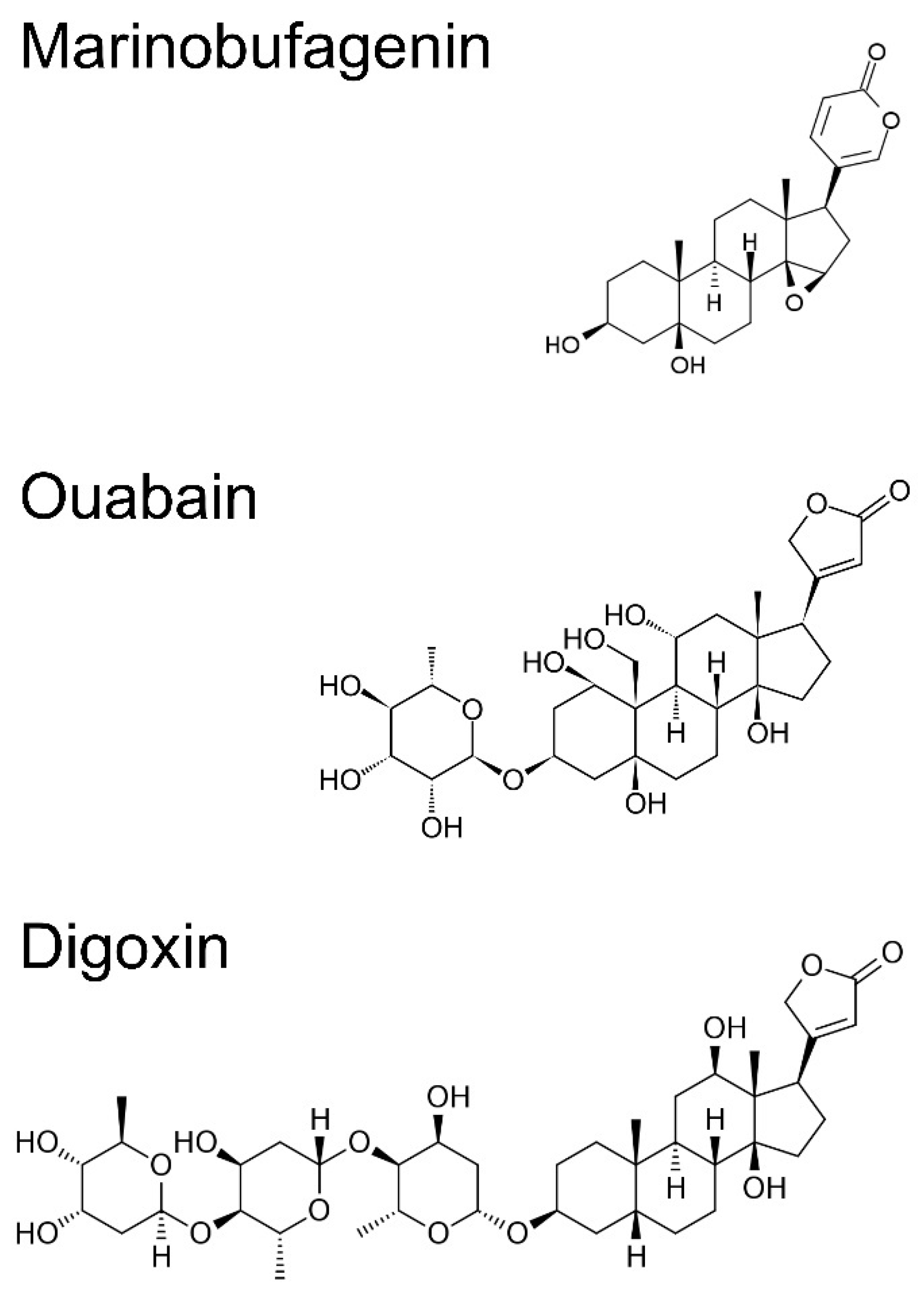 The Ultimate Secret Of https://canadiantadalafilonlineviagrapharmacy.us/