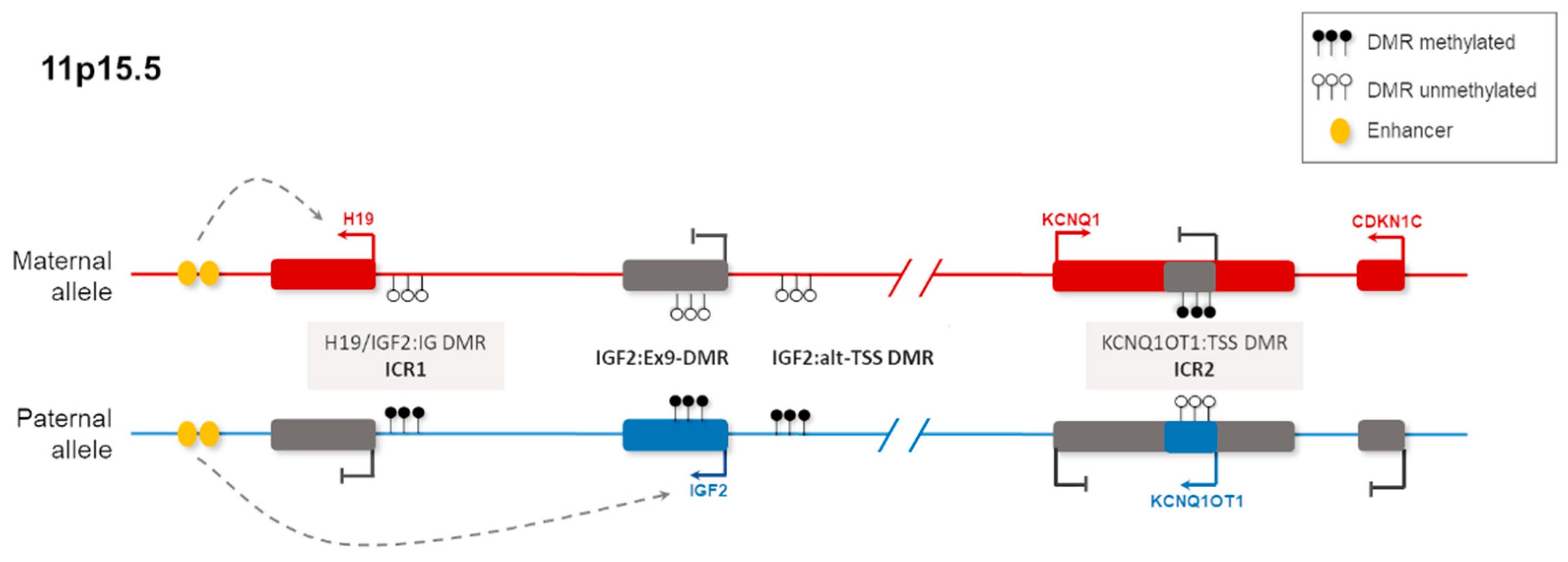 Life 11 00728 g002 Life 11 00728 g002