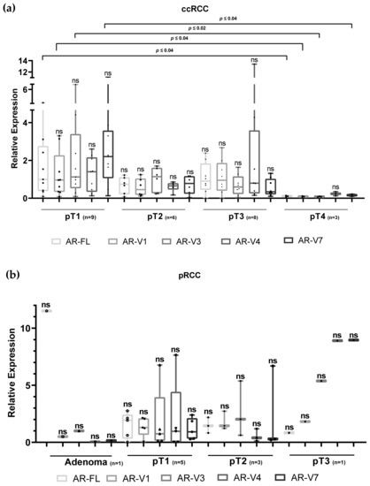 Differential Expression of the Androgen Receptor, Splice Variants and ...