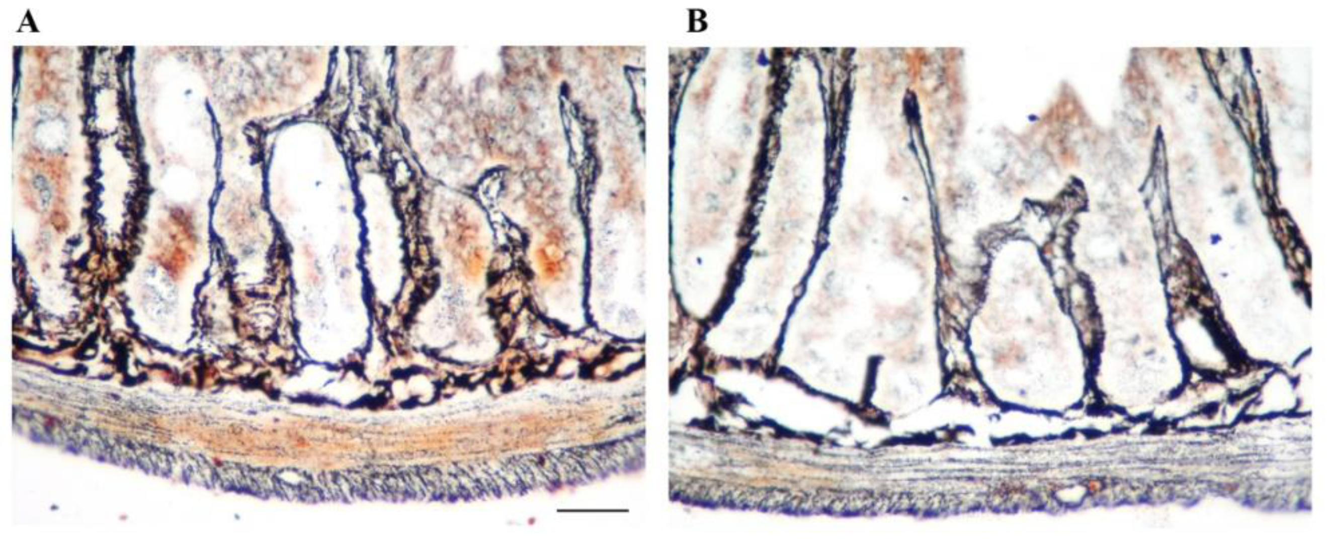 Life 11 00732 g002 550