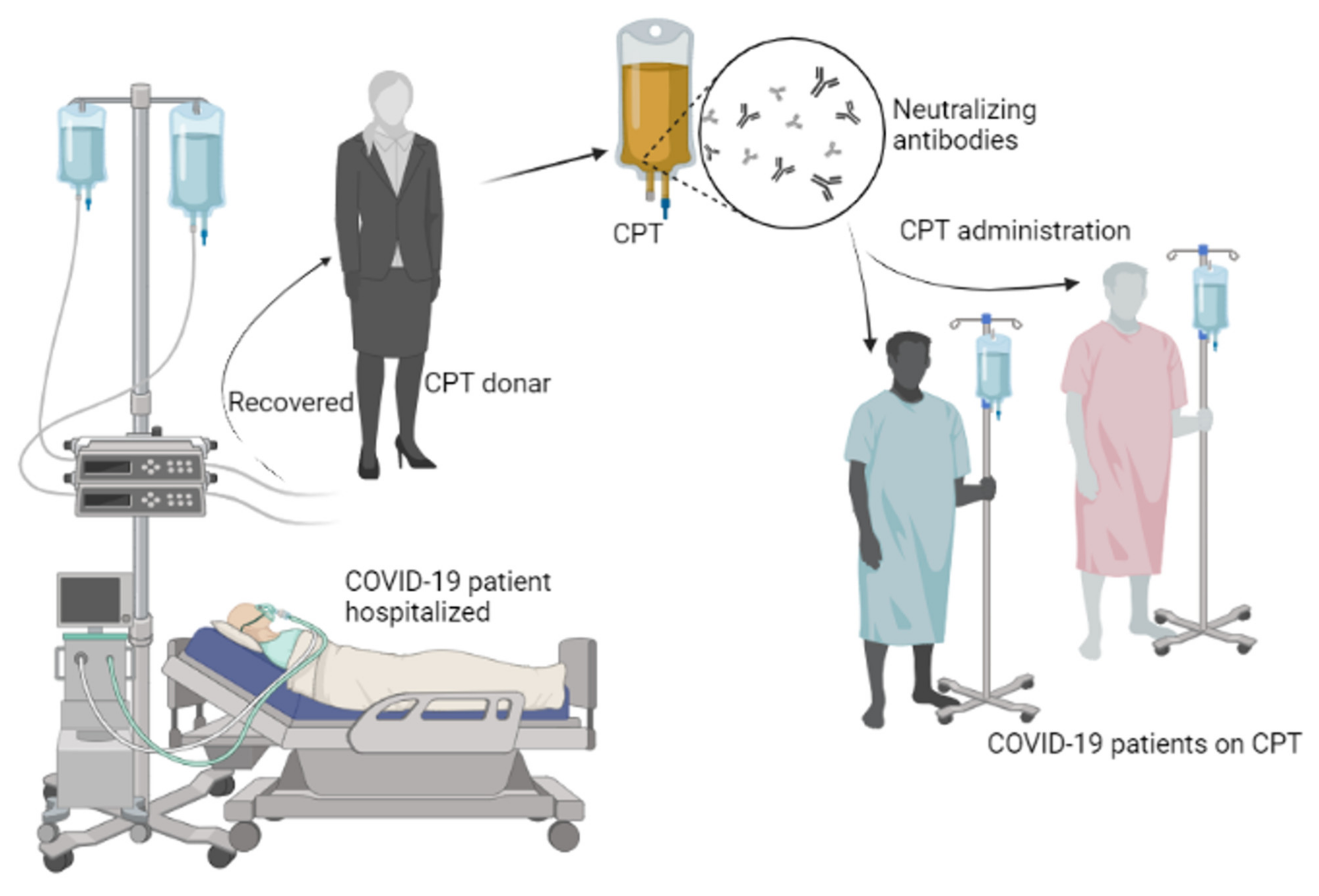 Life 11 00734 g003 Life 11 00734 g003