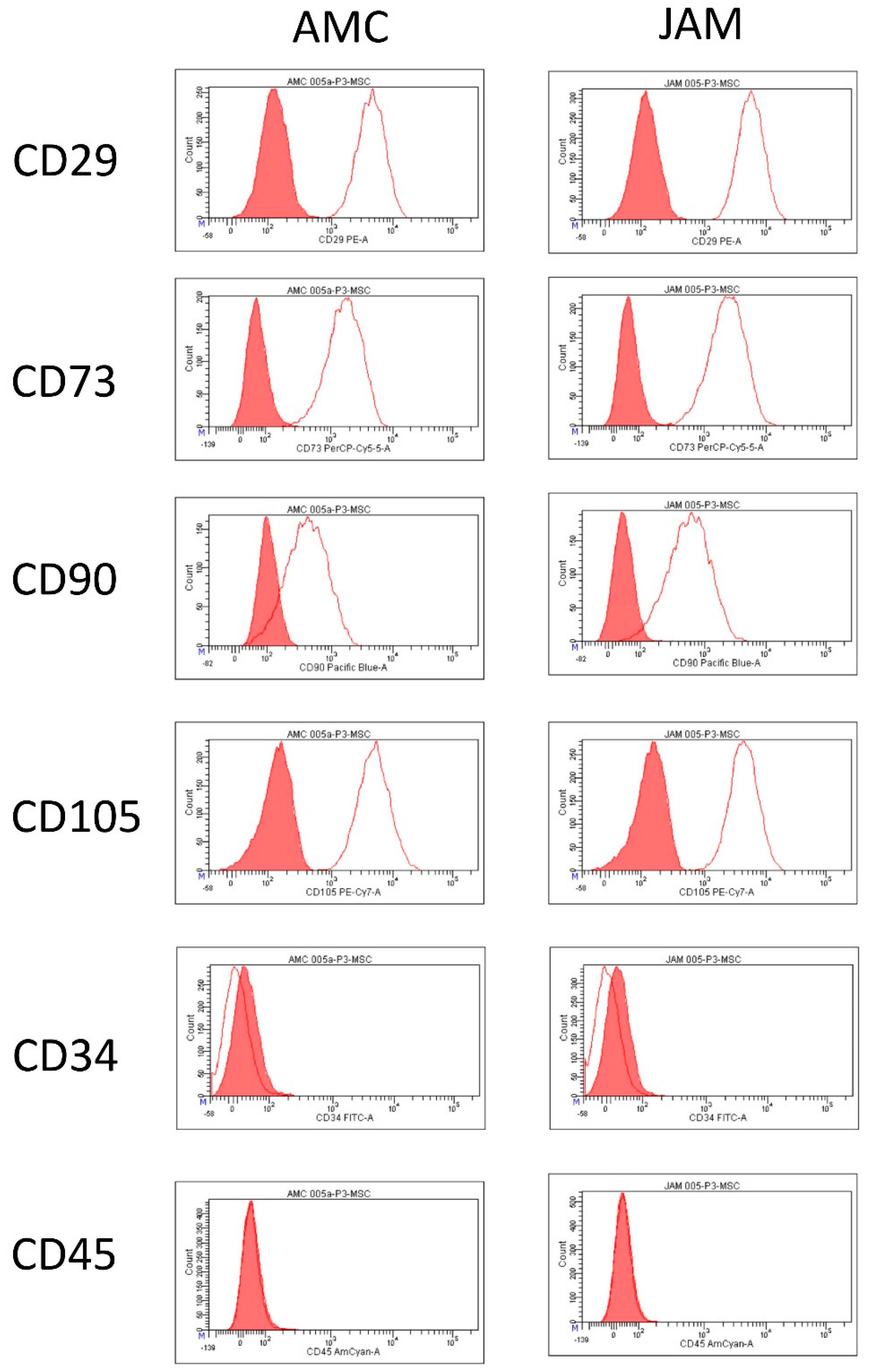 Life 11 00748 g003 550