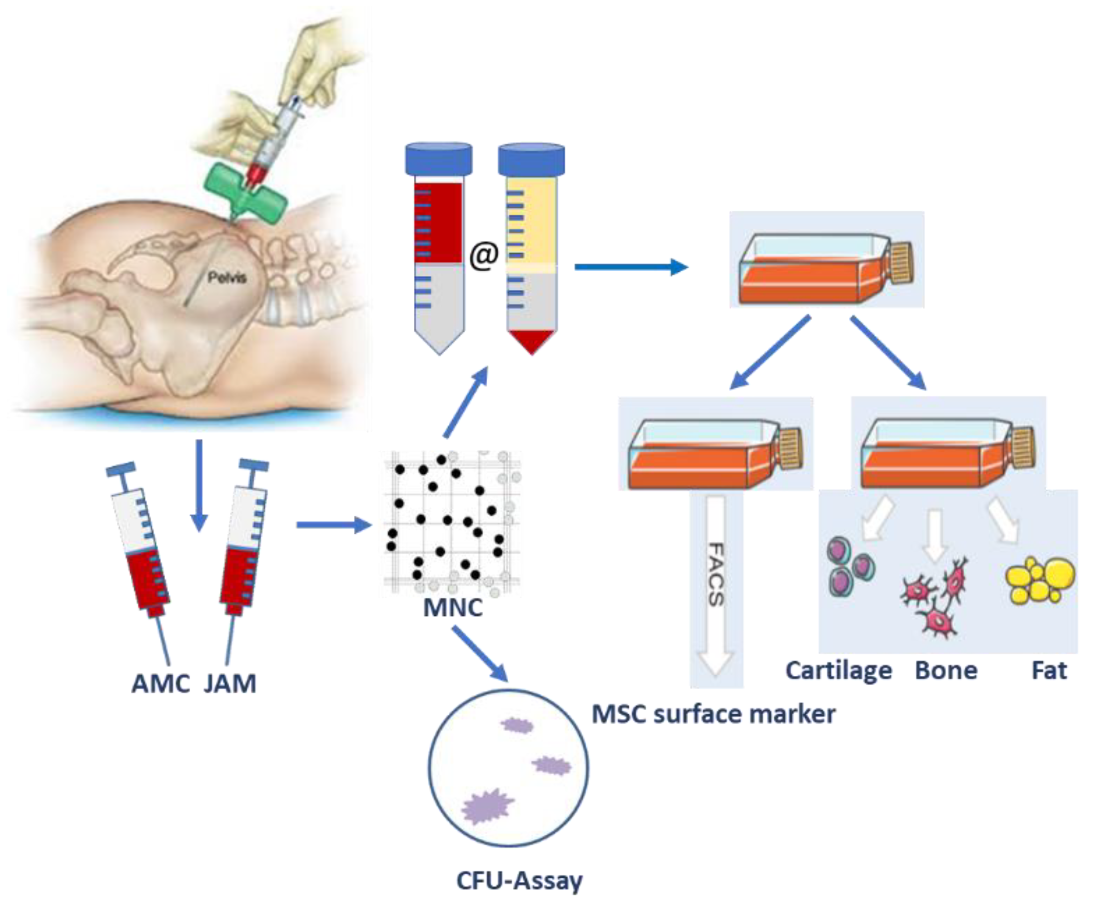 Life 11 00748 g0a1 550