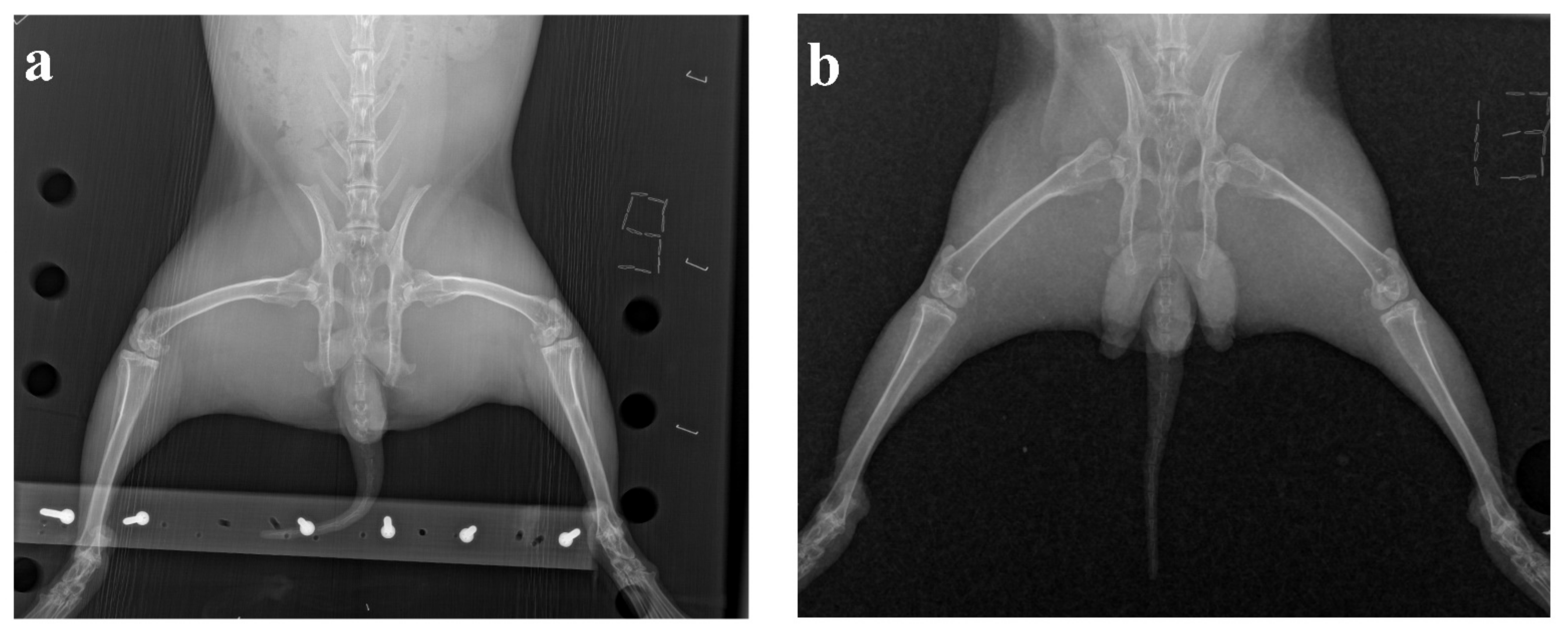 Life 11 00756 g003 Life 11 00756 g003