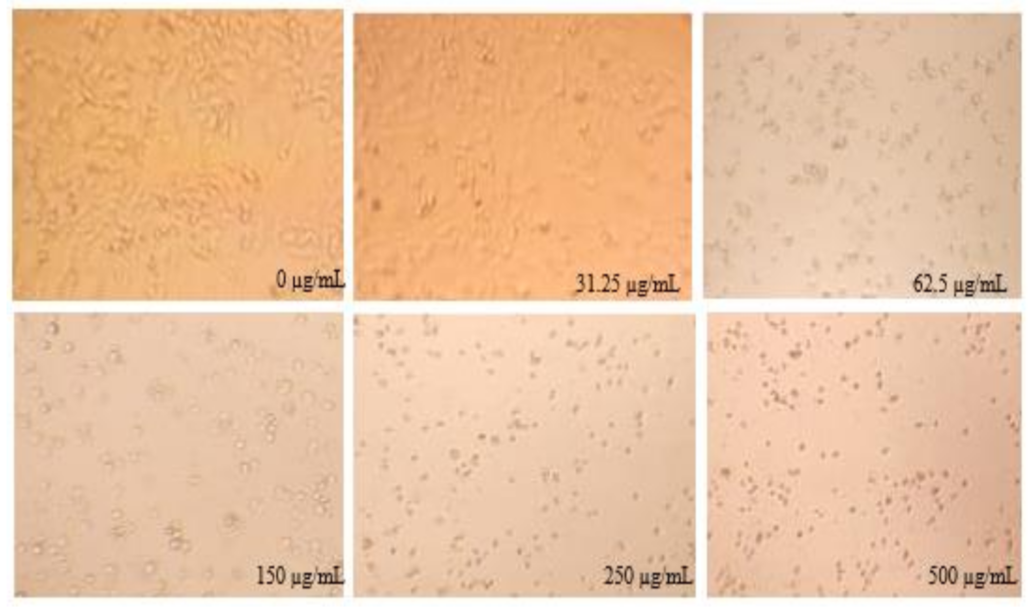 Life 11 00757 g009 550