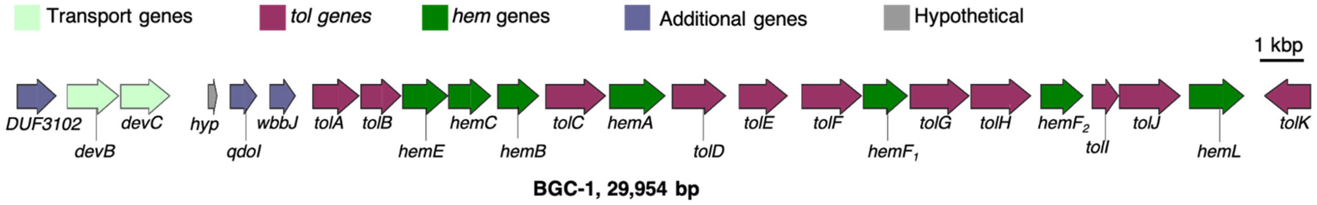 Life 11 00758 g001 Life 11 00758 g001