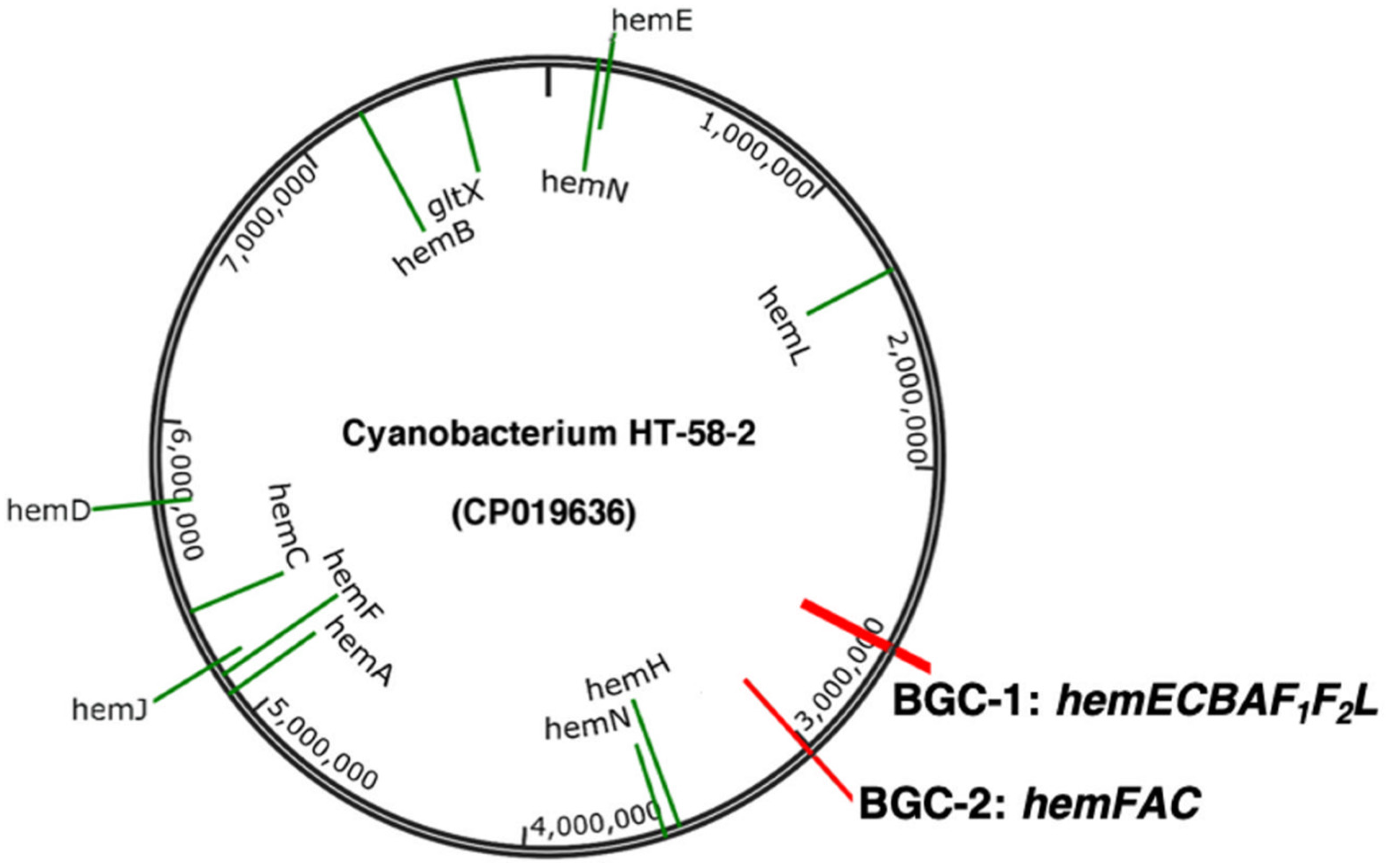Life 11 00758 g003 Life 11 00758 g003