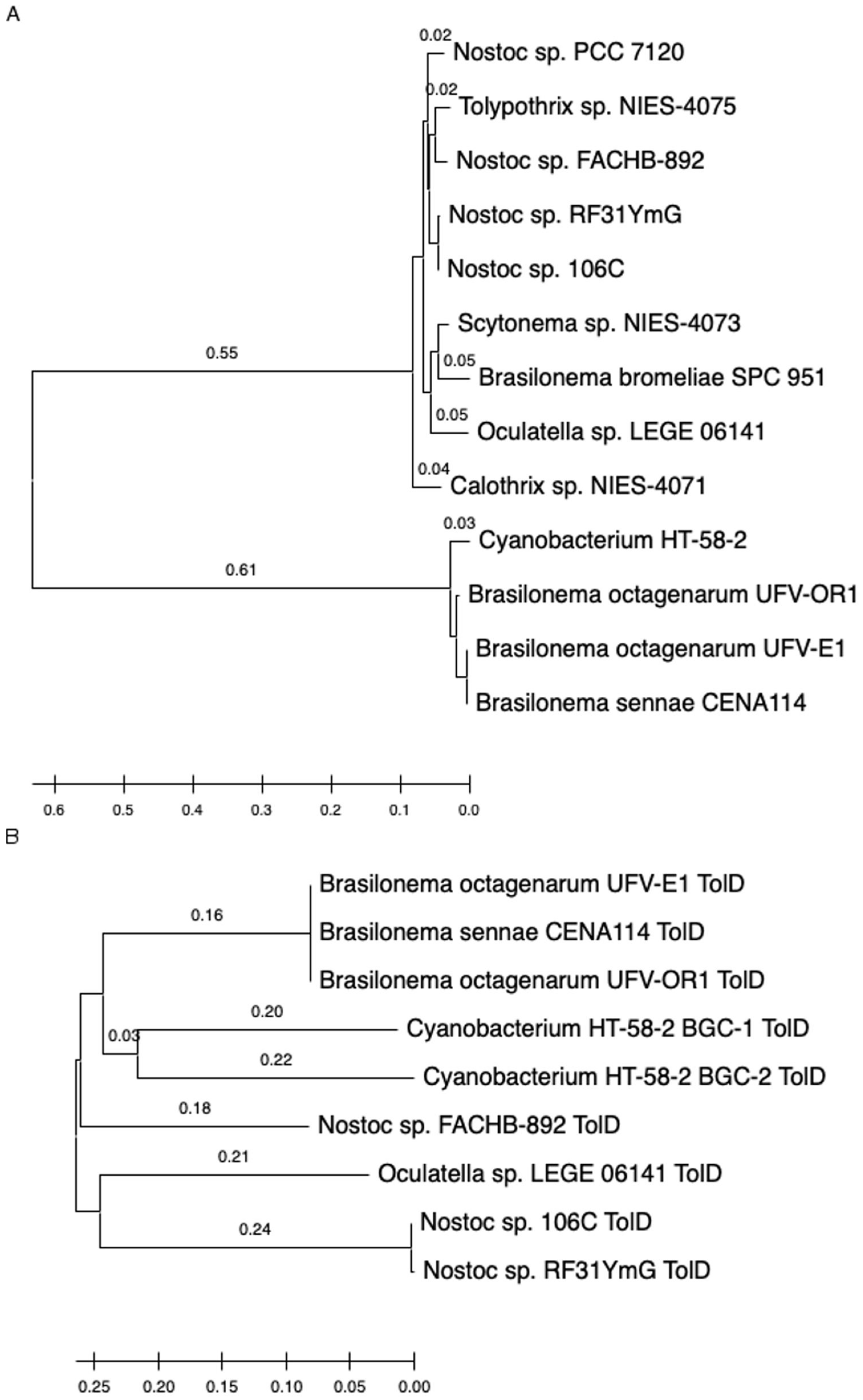 Life 11 00758 g005 Life 11 00758 g005