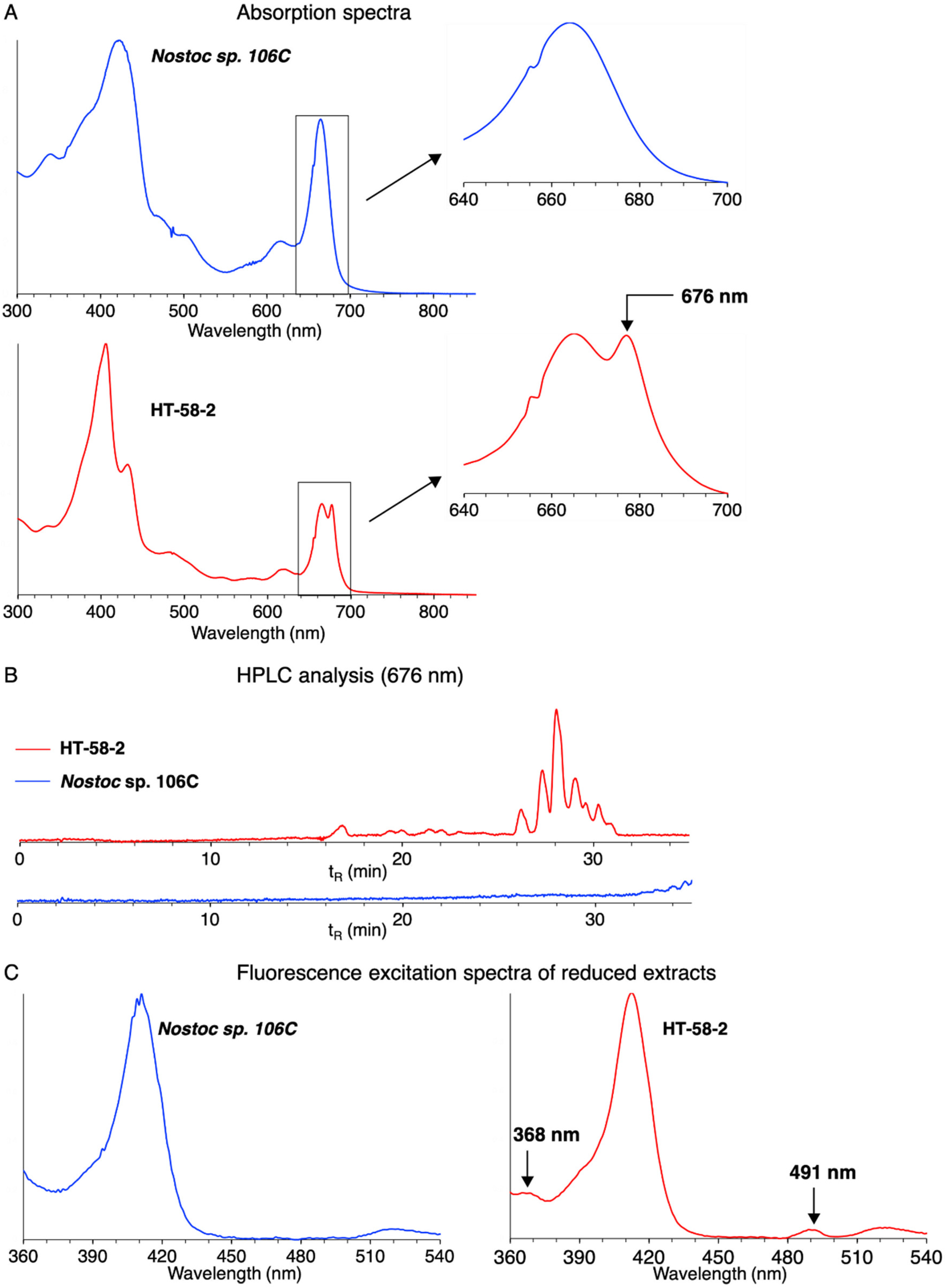Life 11 00758 g006 Life 11 00758 g006