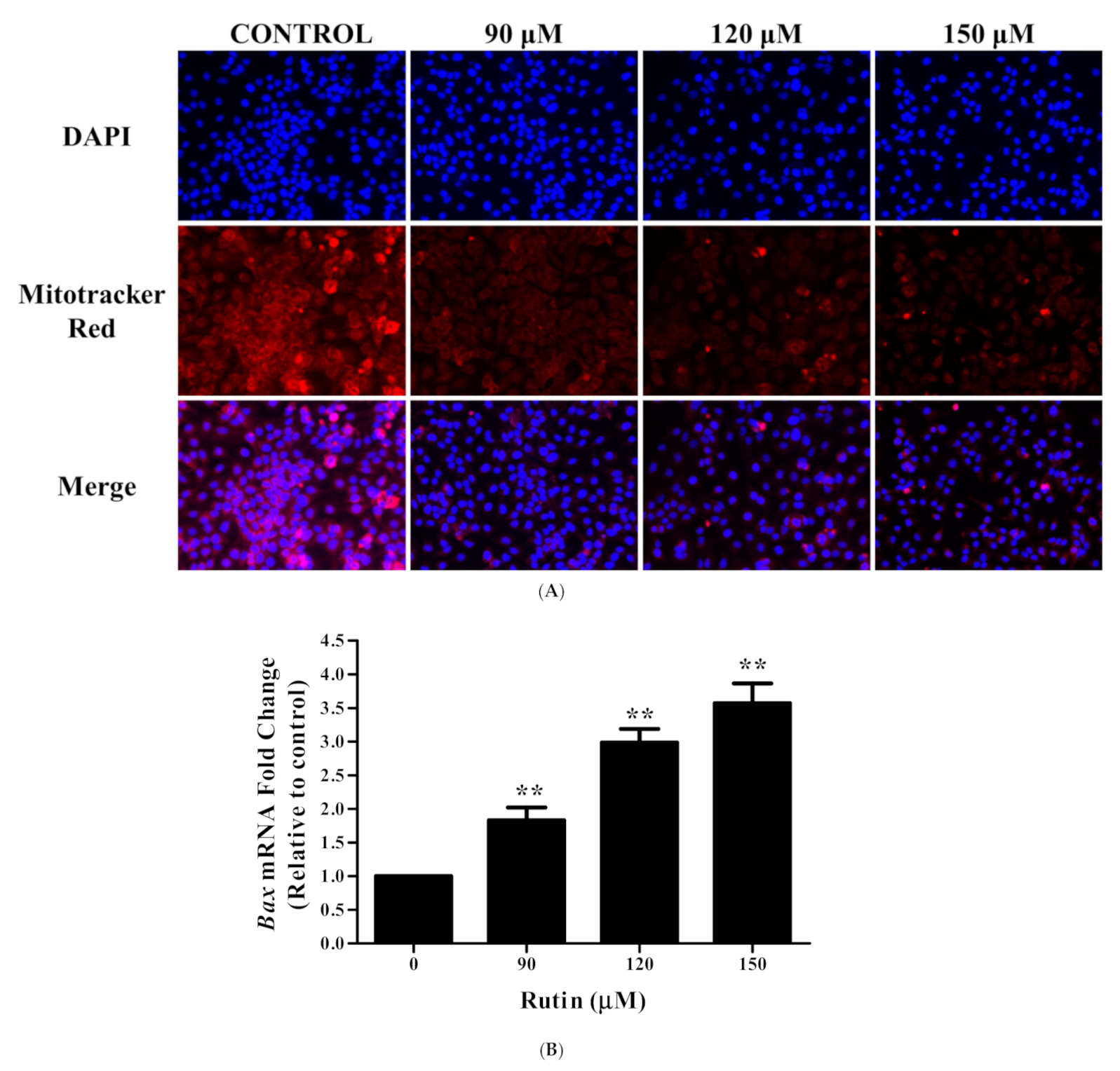 Life 11 00761 g002a Life 11 00761 g002a