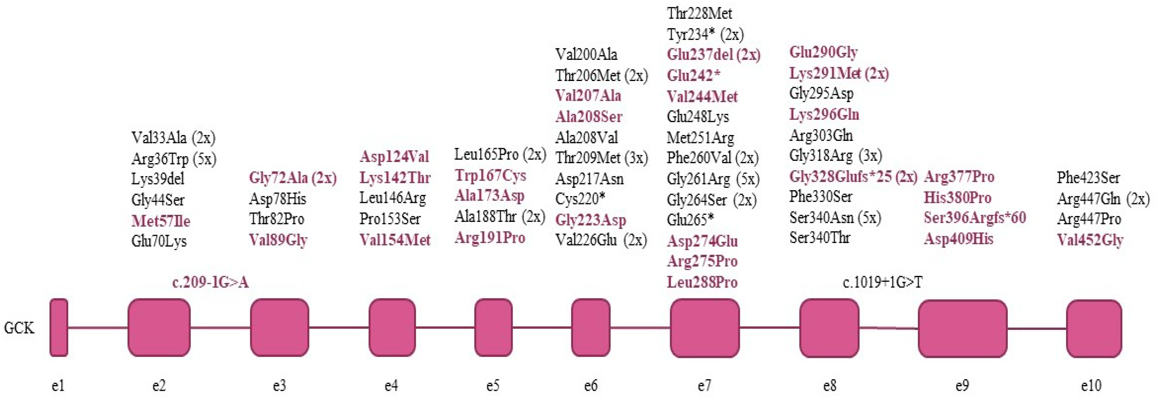 Life 11 00771 g001 Life 11 00771 g001