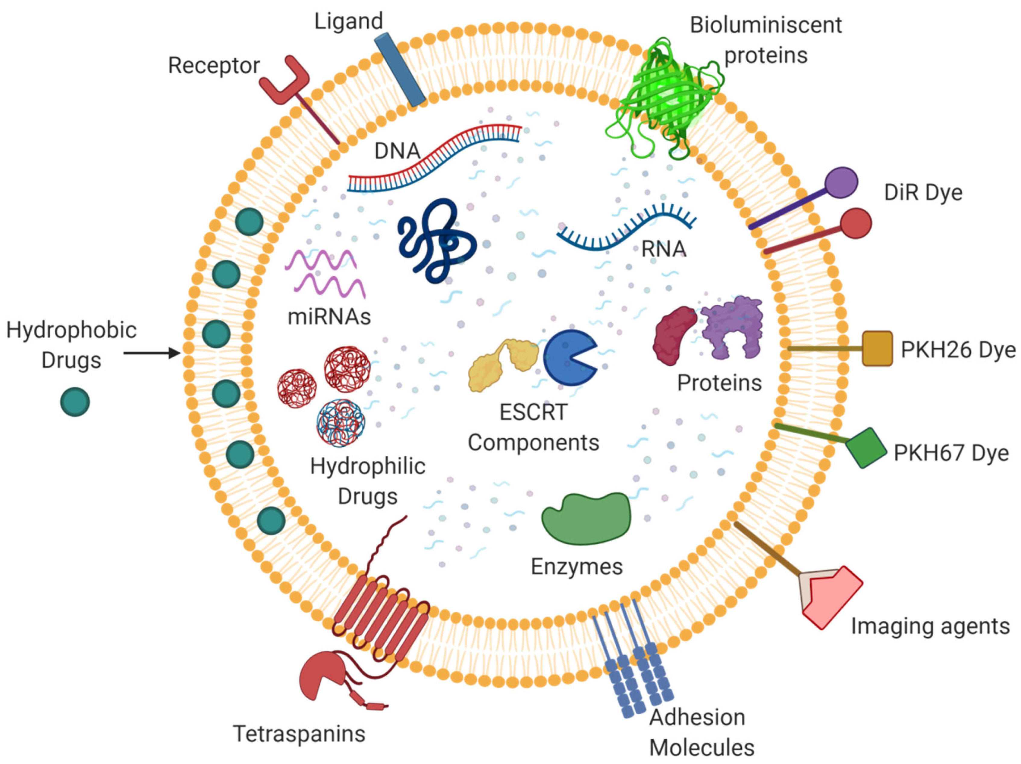 Life 11 00784 g004 550