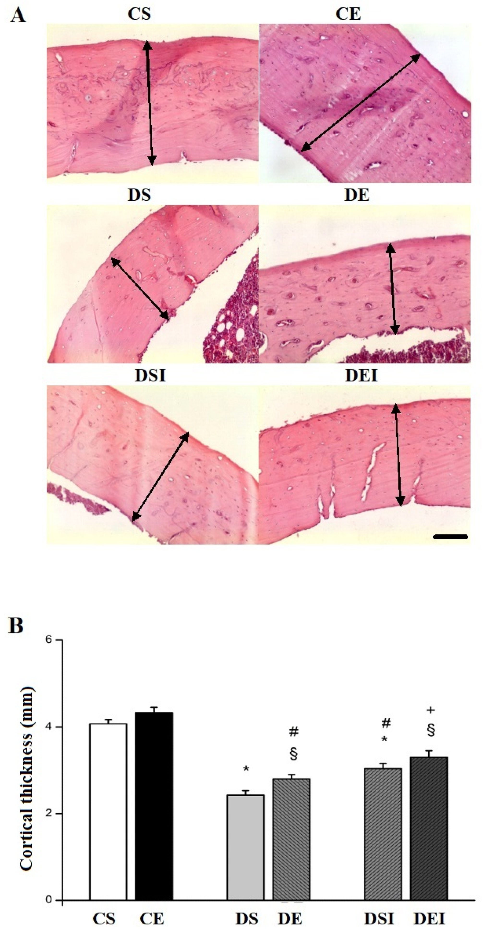 Life 11 00786 g002 550