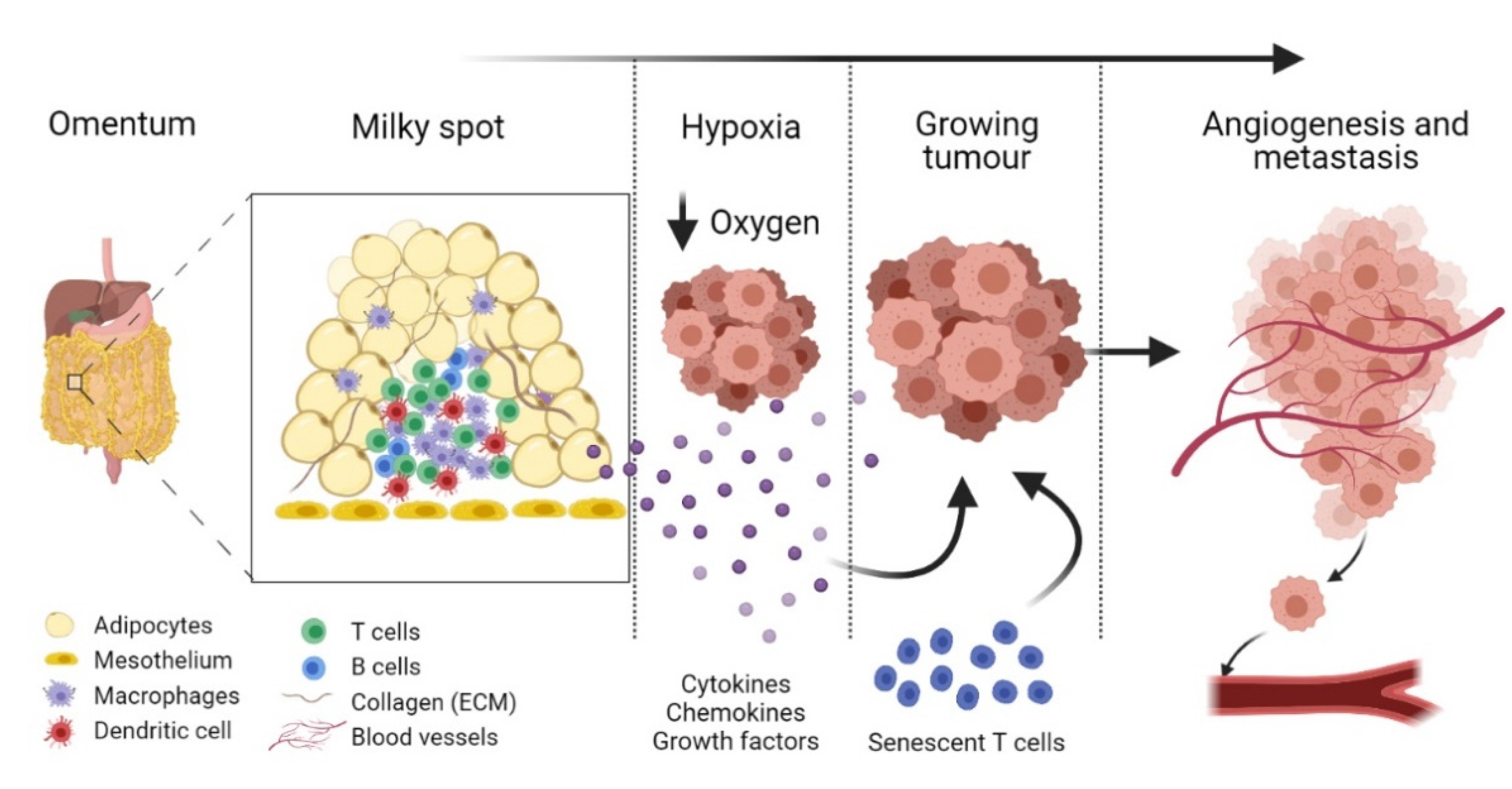 Life 11 00788 g002 Life 11 00788 g002