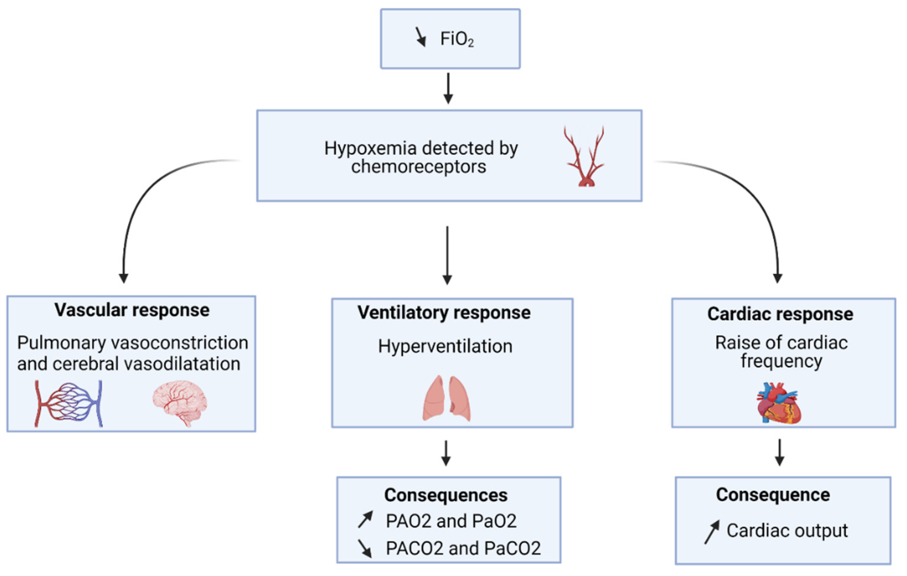 Is Your Patient Hypoxic?  A Doctor'S Urgent Guide To Diagnosis - s0z3rzy