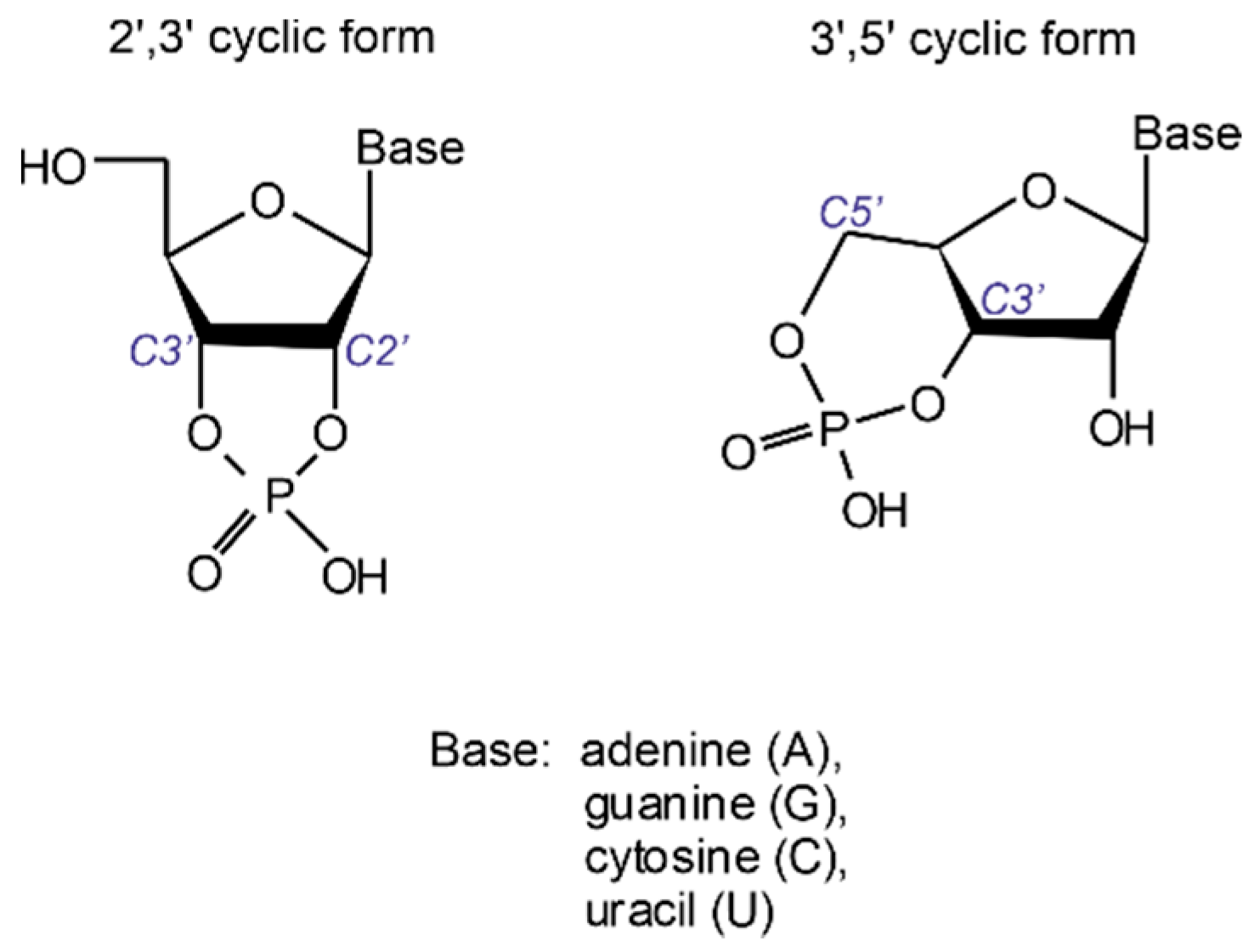 Life 11 00800 g001 550