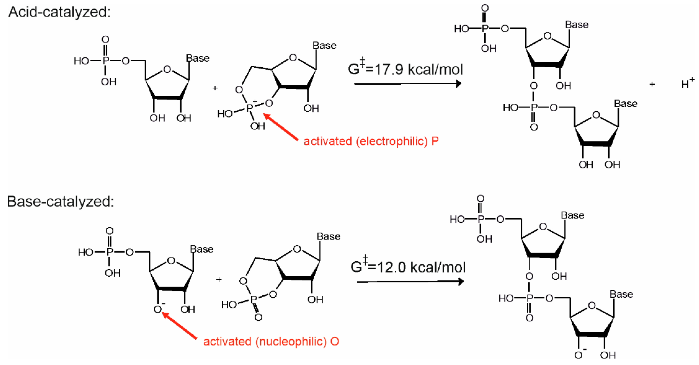 Life 11 00800 g003 550