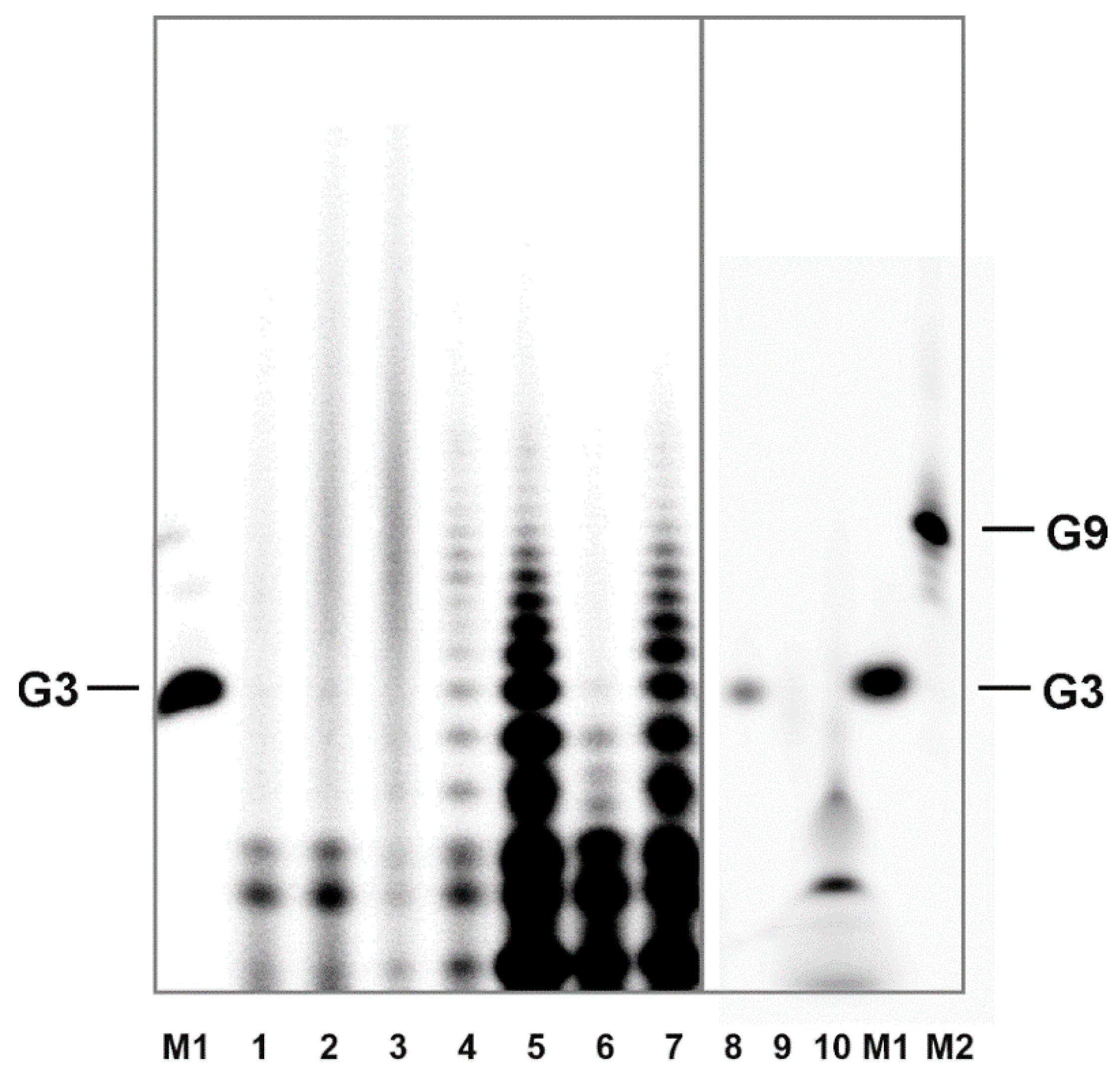 Life 11 00800 g004 550