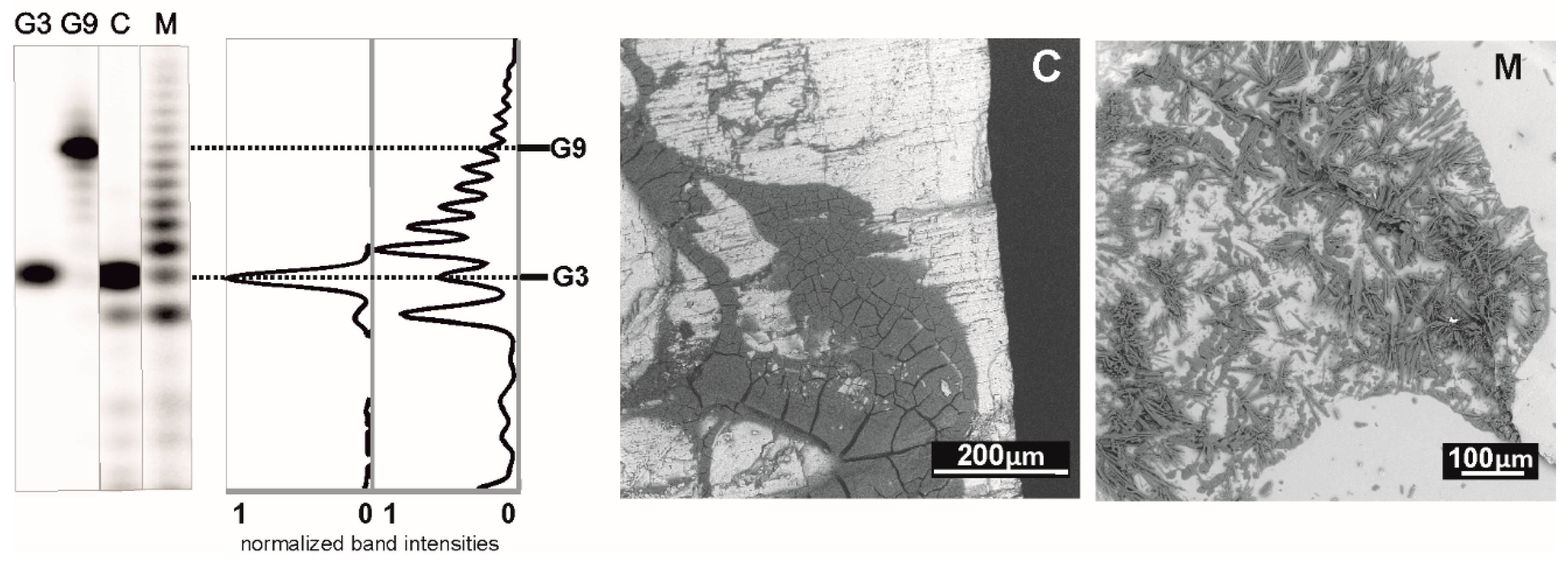 Life 11 00800 g006 550