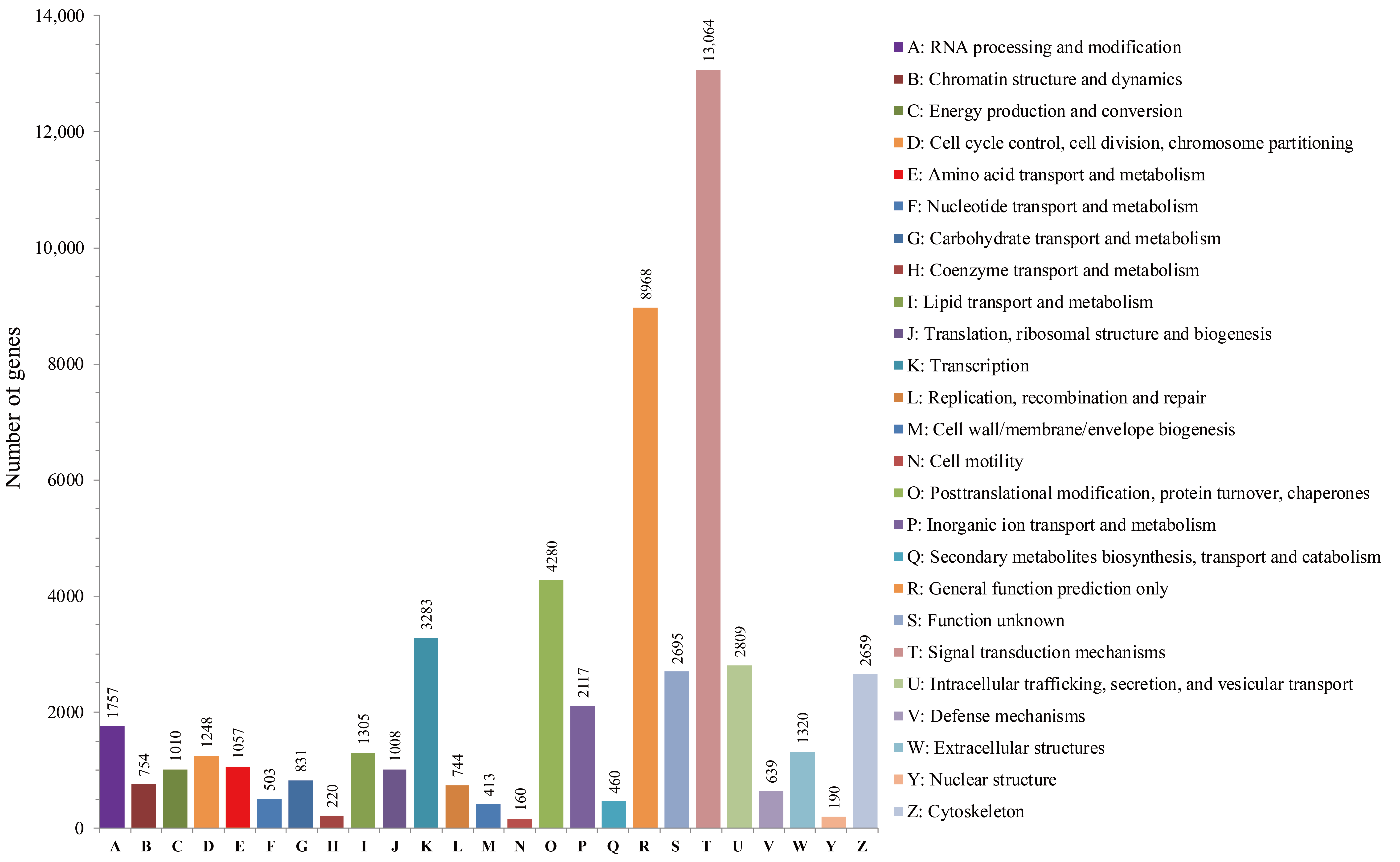 Life 11 00803 g004 550