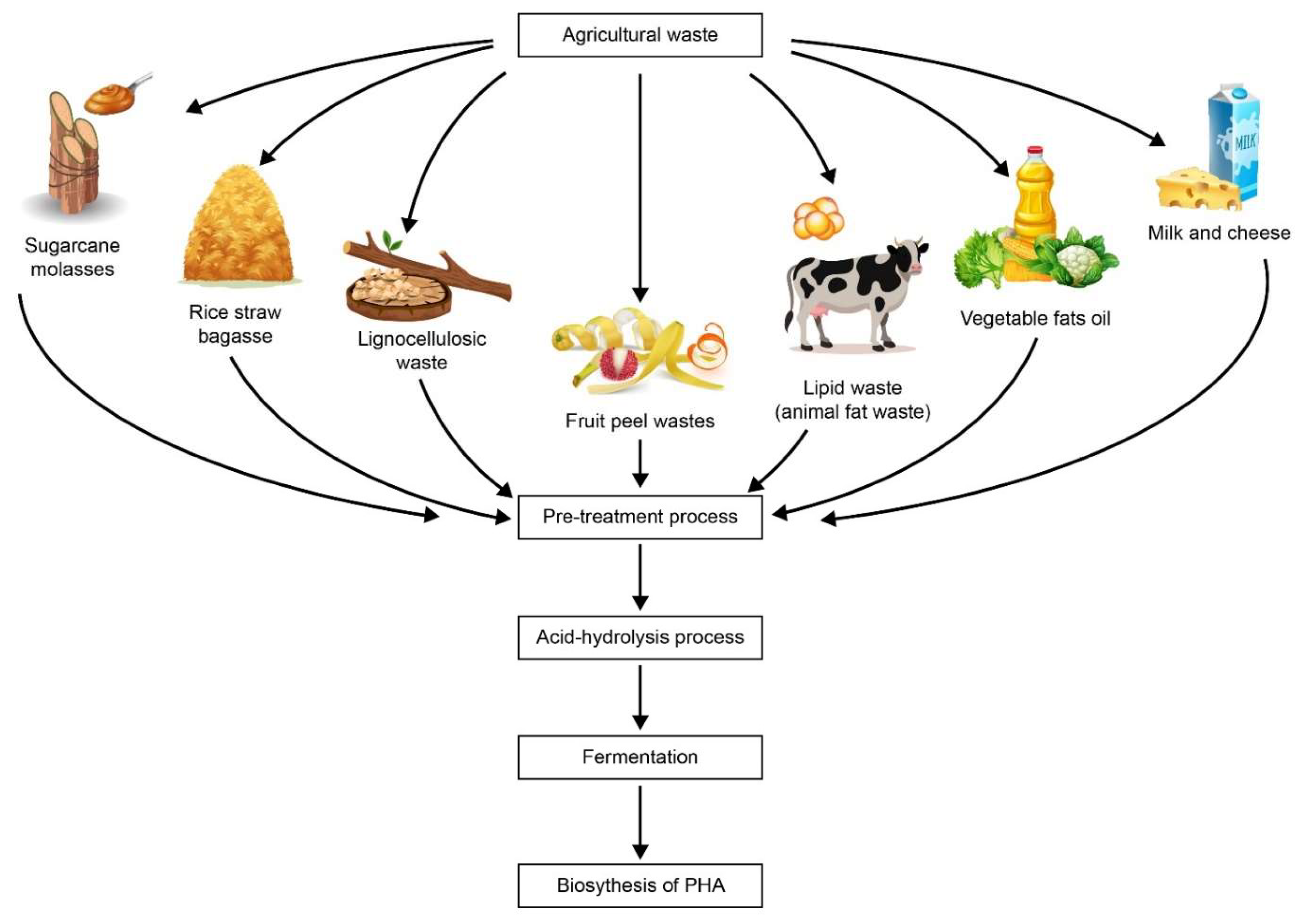 Current application of algae derivatives for bioplastic production: A  review - ScienceDirect