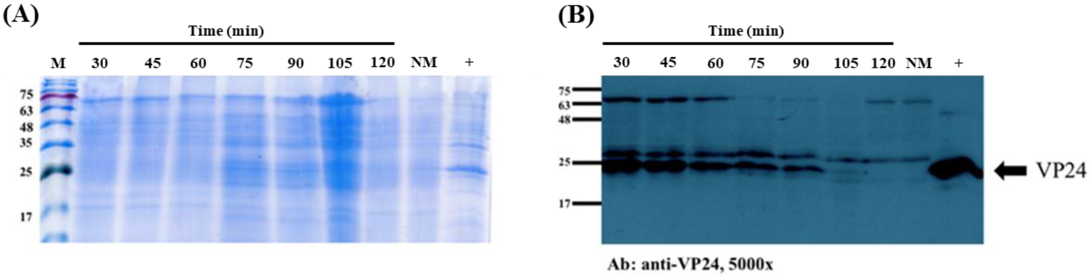 Life 11 00818 g001 550