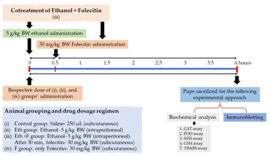 Life Free Full Text Isolation Characterization And Neuroprotective Activity Of Folecitin An In Vivo Study Html