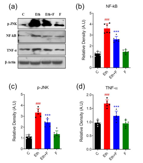 Life Free Full Text Isolation Characterization And Neuroprotective Activity Of Folecitin An In Vivo Study Html