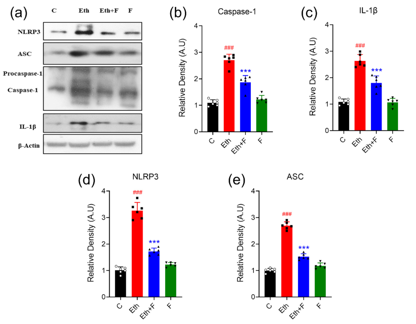 Life Free Full Text Isolation Characterization And Neuroprotective Activity Of Folecitin An In Vivo Study Html