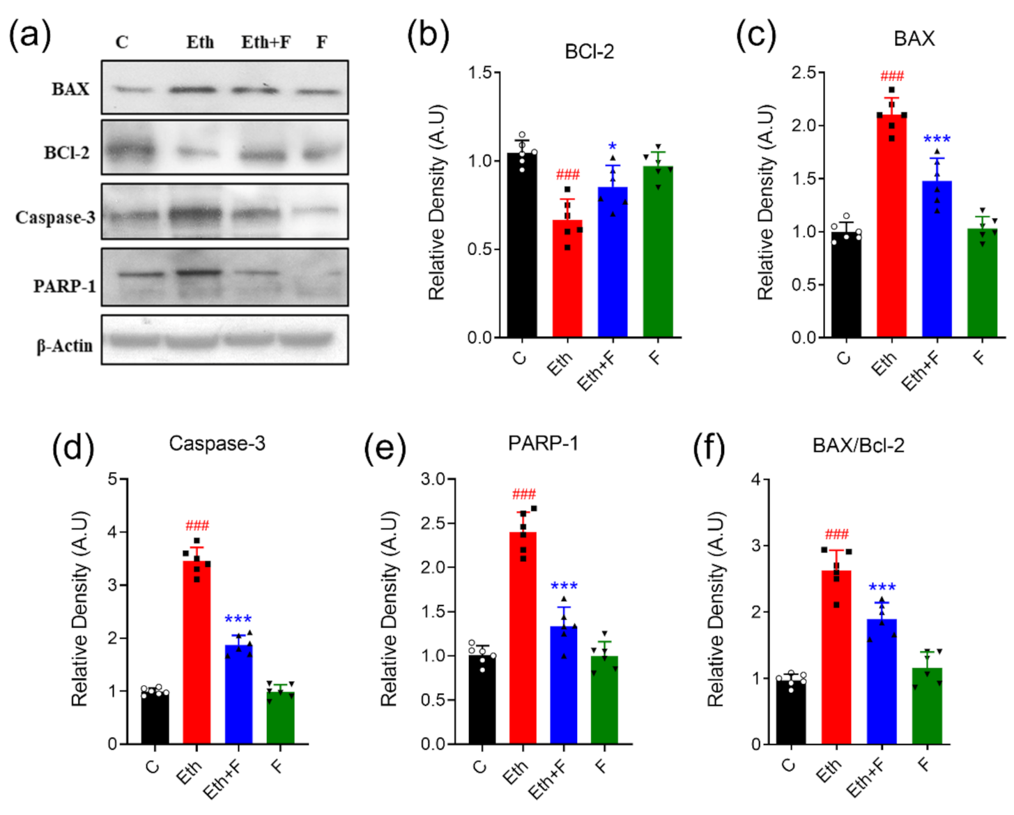 Life Free Full Text Isolation Characterization And Neuroprotective Activity Of Folecitin An In Vivo Study Html