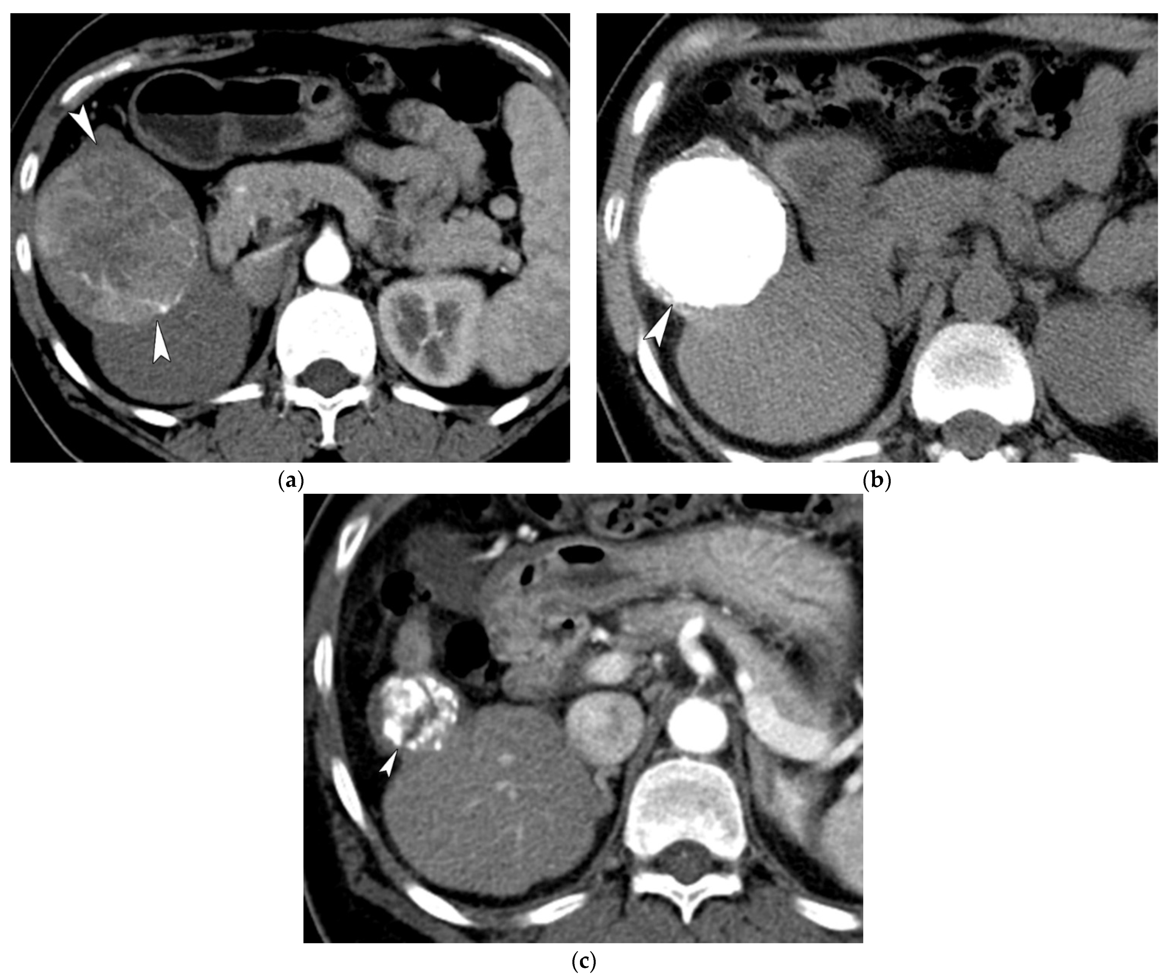 Life 11 00840 g004 550