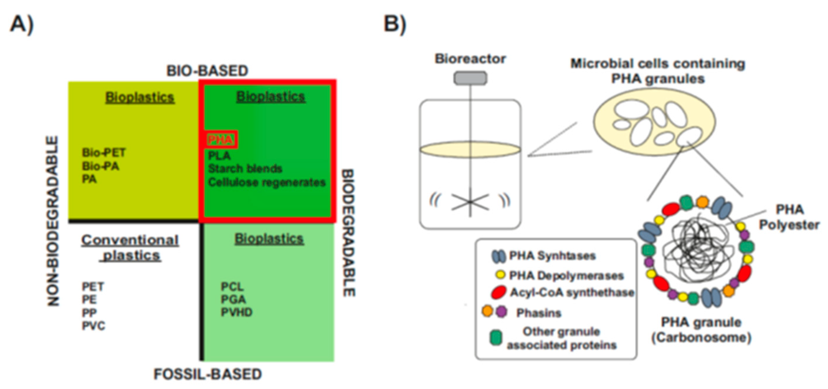 Life 11 00853 g001 Life 11 00853 g001